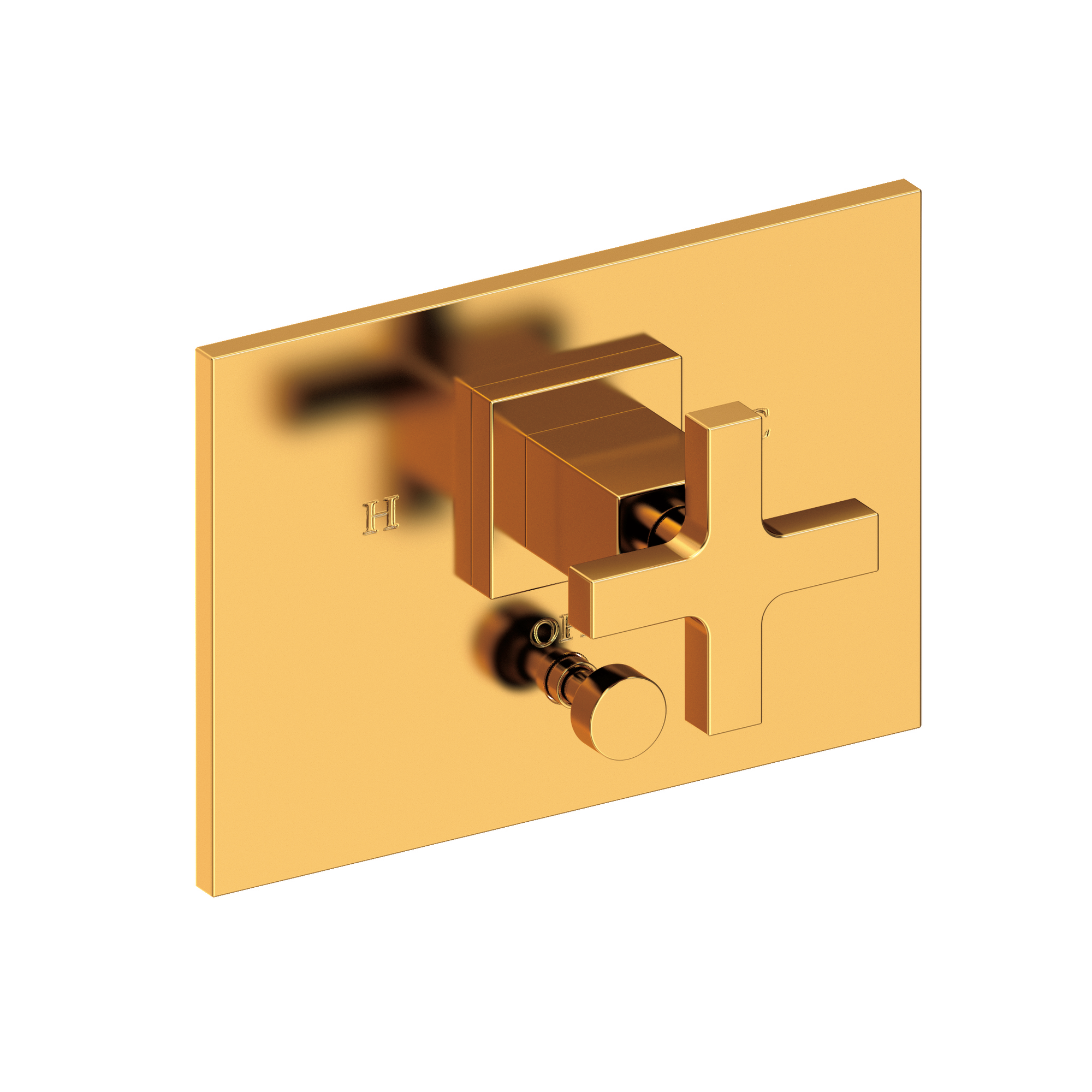 Newport Brass Secant® Balanced Pressure Tub & Shower Diverter Plate with Handle