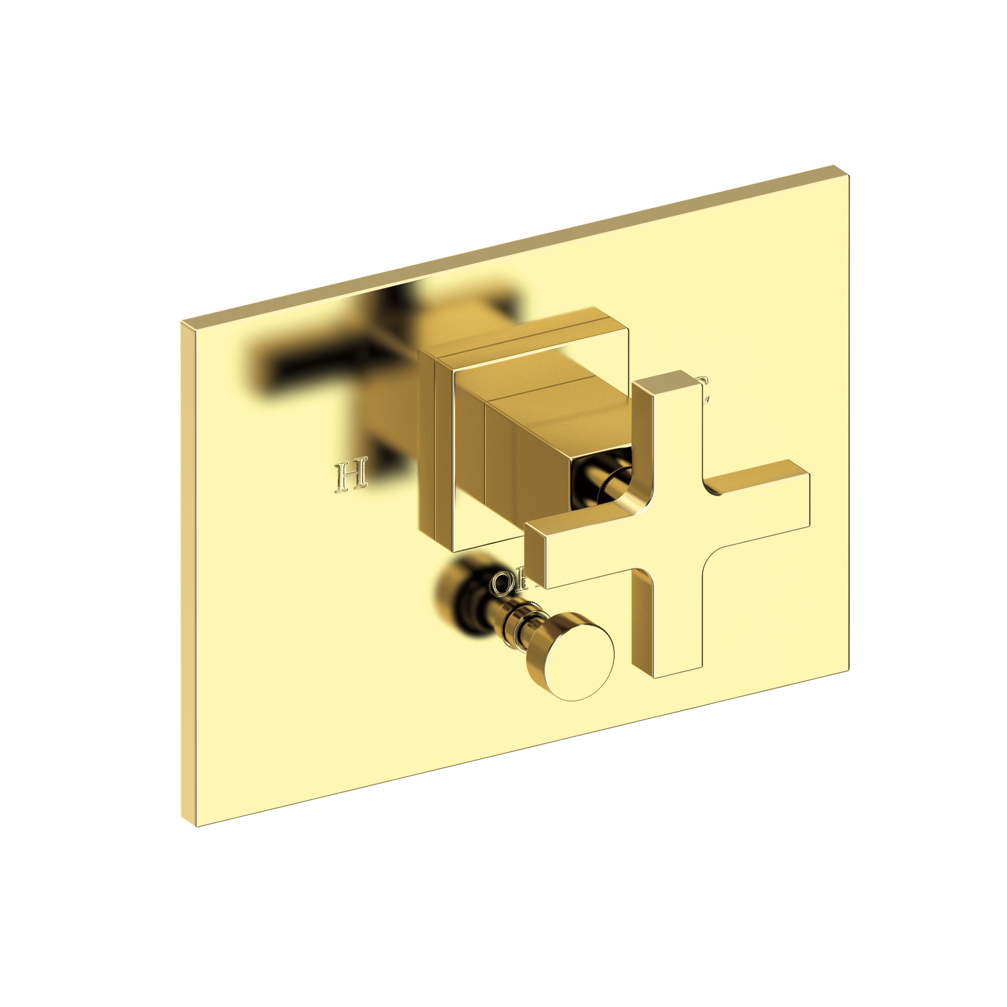 Newport Brass Secant® Balanced Pressure Tub & Shower Diverter Plate with Handle