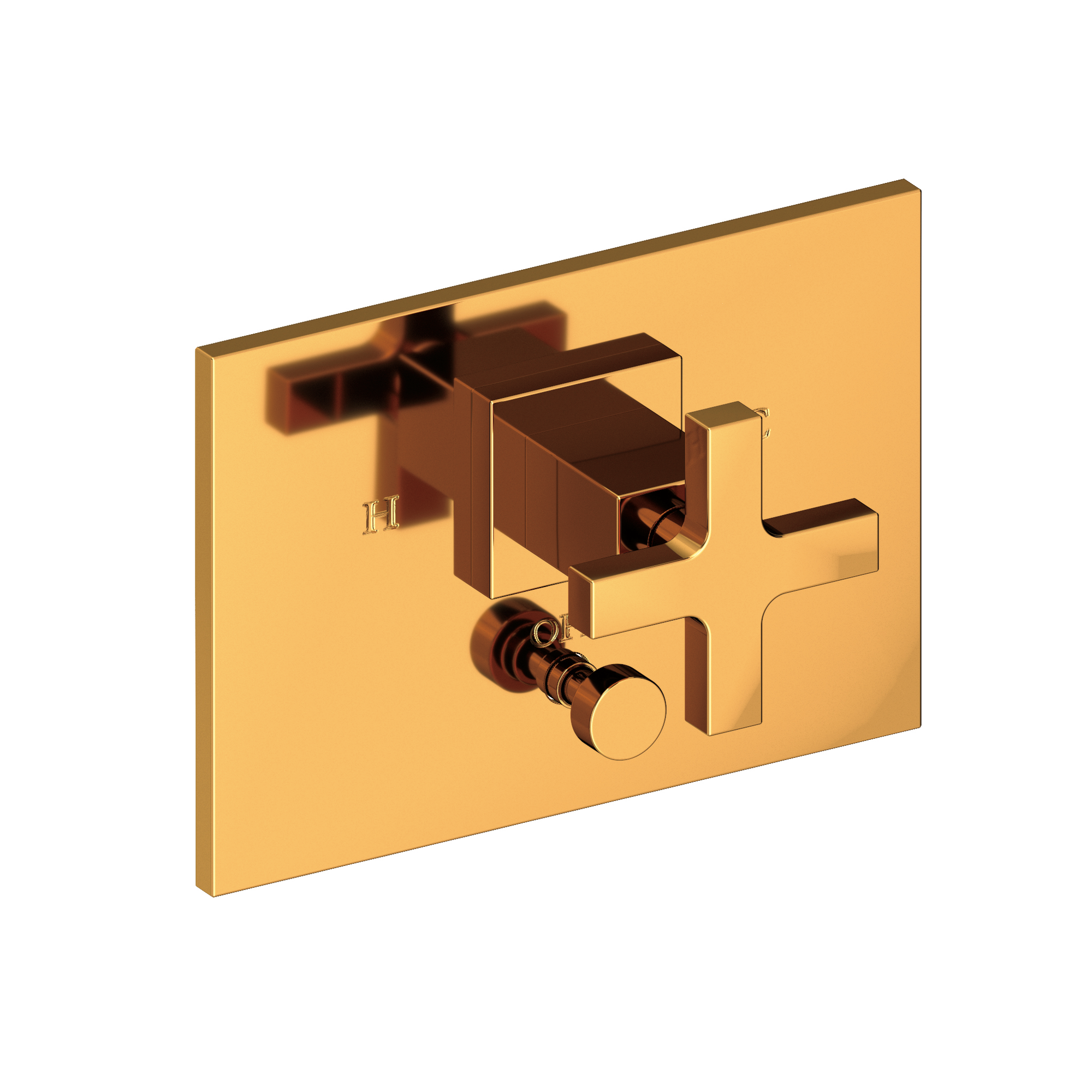 Newport Brass Secant® Balanced Pressure Tub & Shower Diverter Plate with Handle
