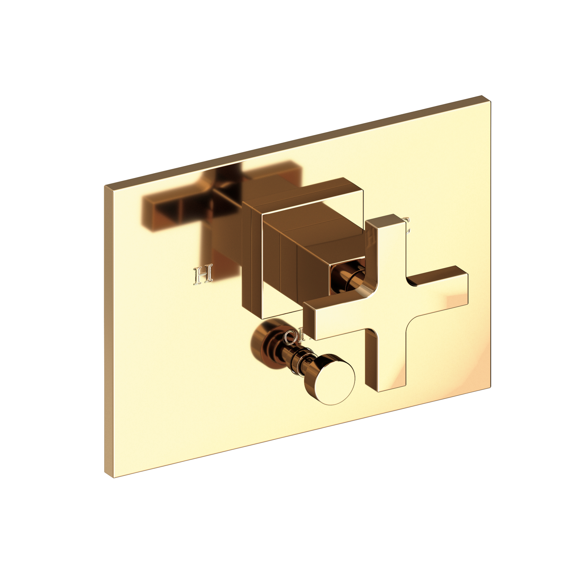 Newport Brass Secant® Balanced Pressure Tub & Shower Diverter Plate with Handle