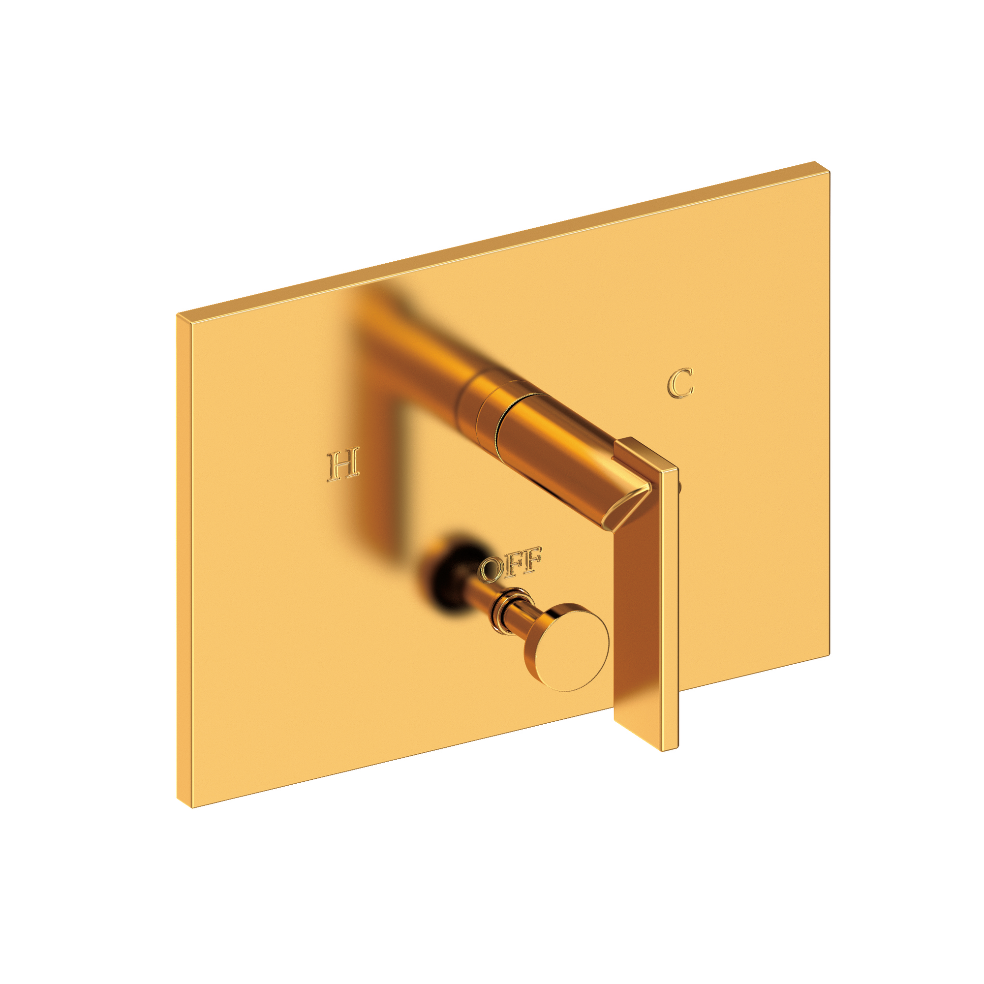 Newport Brass Metro® Balanced Pressure Tub & Shower Diverter Plate with Handle