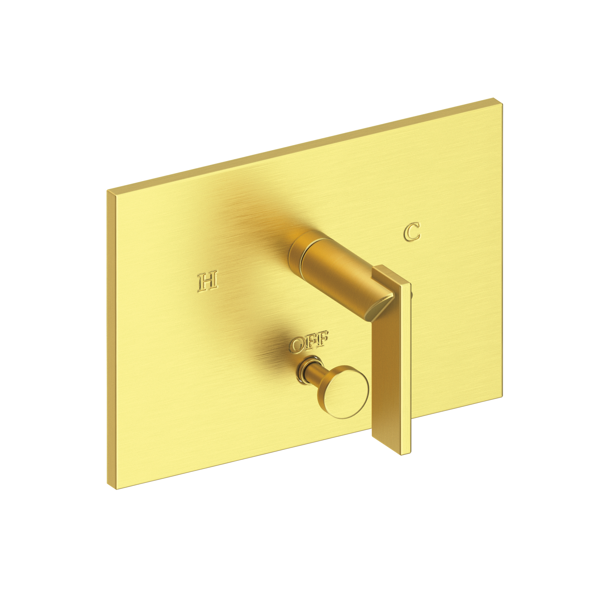 Newport Brass Metro® Balanced Pressure Tub & Shower Diverter Plate with Handle