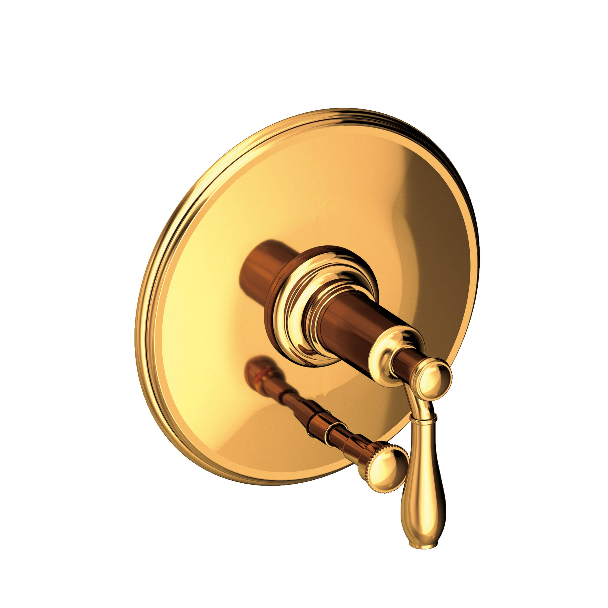 Newport Brass Ithaca® Balanced Pressure Tub & Shower Diverter Plate with Handle
