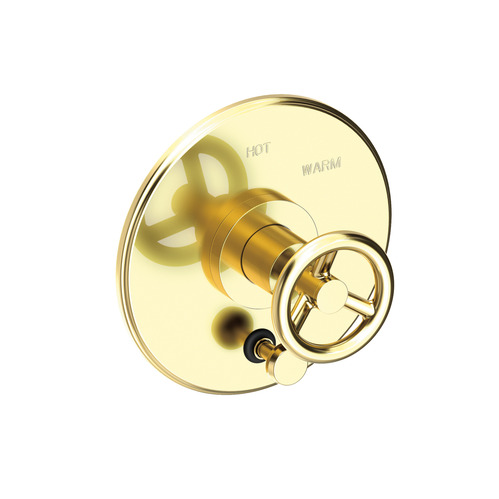 Newport Brass Slater® Balanced Pressure Tub & Shower Diverter Plate with Handle