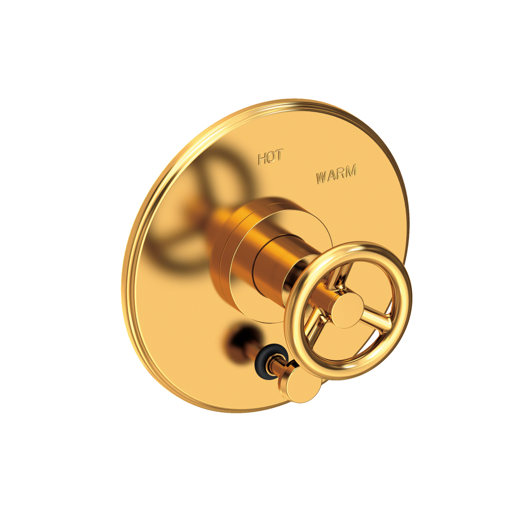 Newport Brass Slater® Balanced Pressure Tub & Shower Diverter Plate with Handle