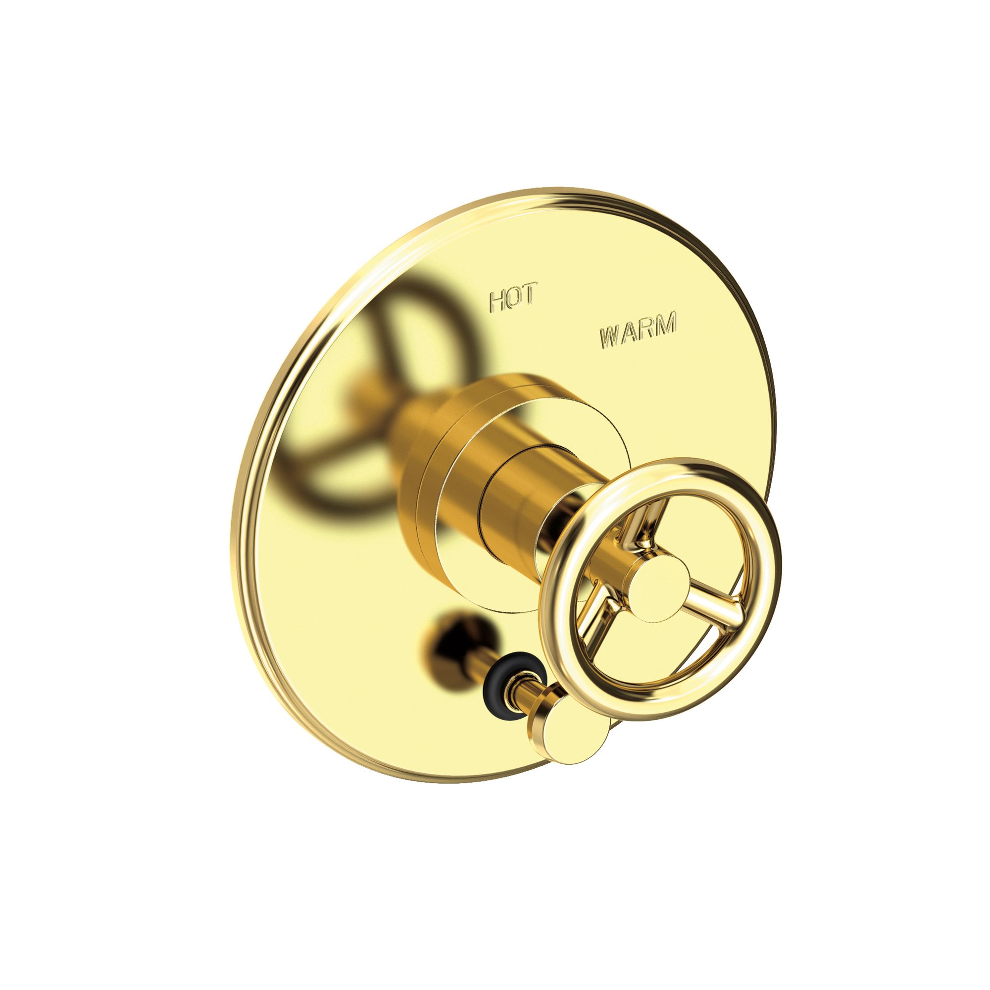 Newport Brass Slater® Balanced Pressure Tub & Shower Diverter Plate with Handle