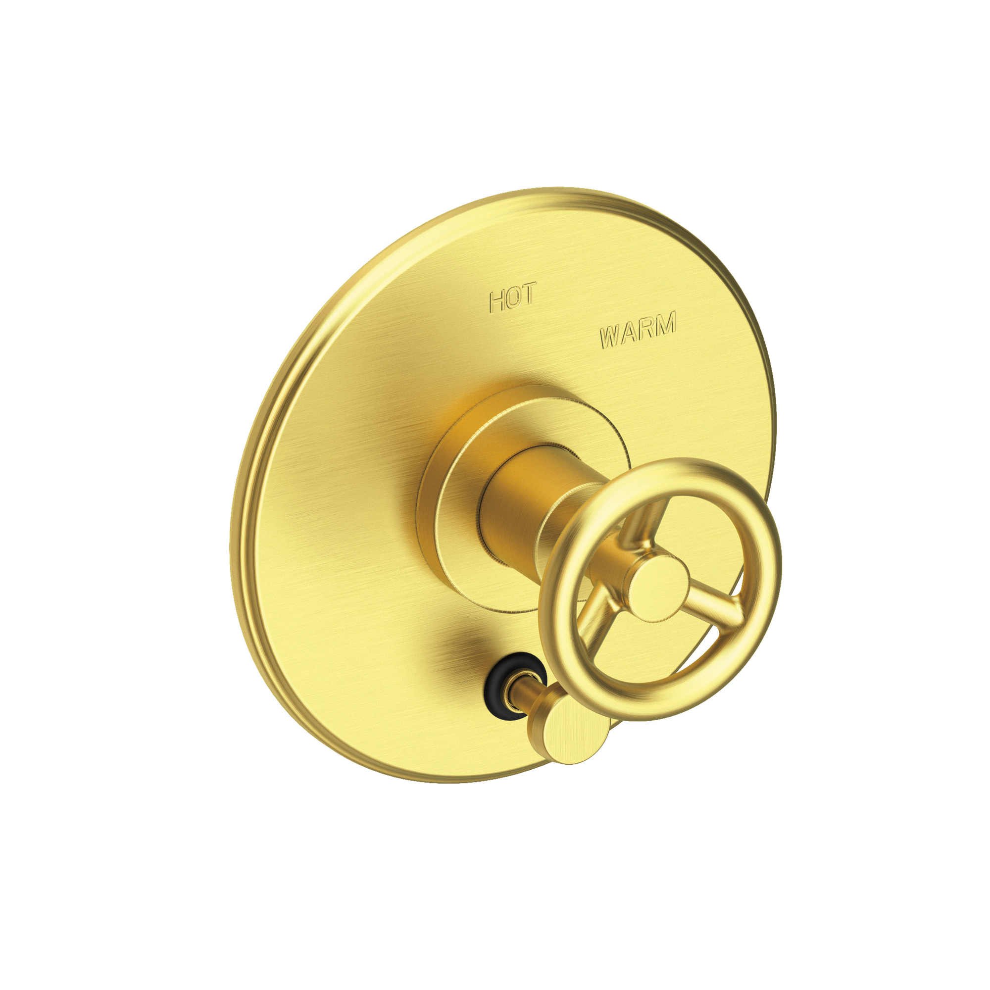 Newport Brass Slater® Balanced Pressure Tub & Shower Diverter Plate with Handle