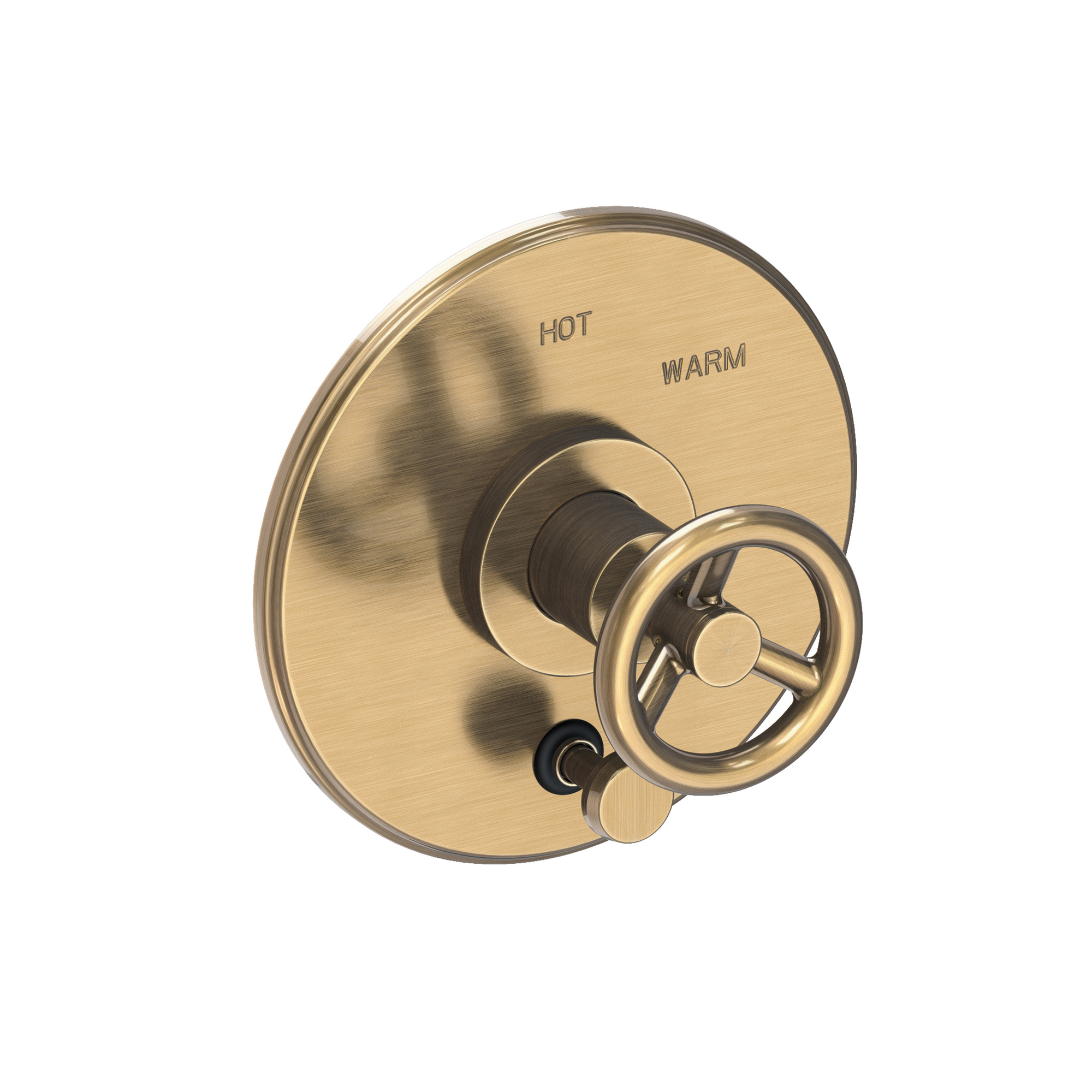 Newport Brass Slater® Balanced Pressure Tub & Shower Diverter Plate with Handle
