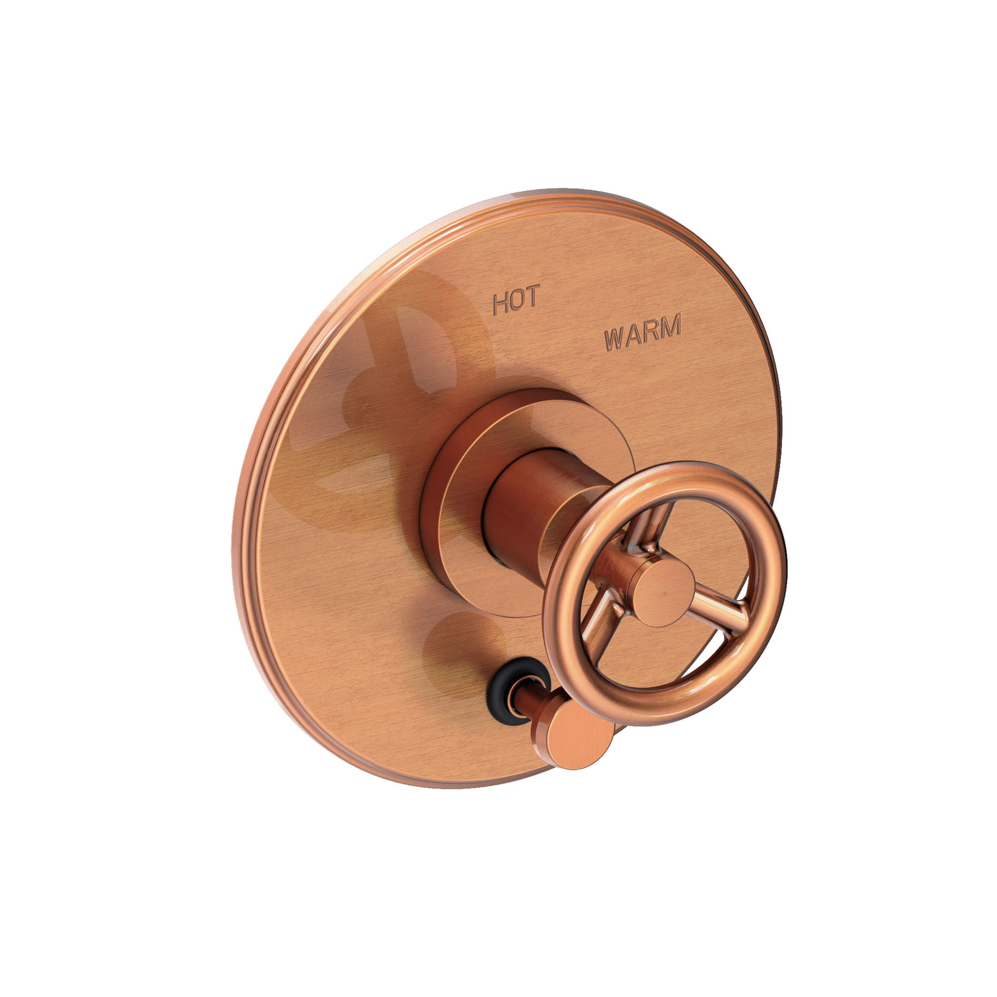 Newport Brass Slater® Balanced Pressure Tub & Shower Diverter Plate with Handle