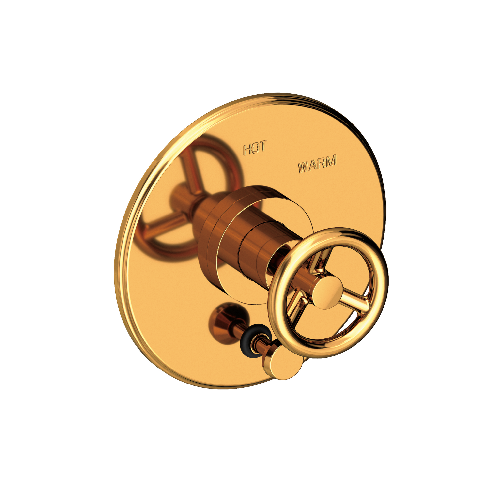 Newport Brass Slater® Balanced Pressure Tub & Shower Diverter Plate with Handle