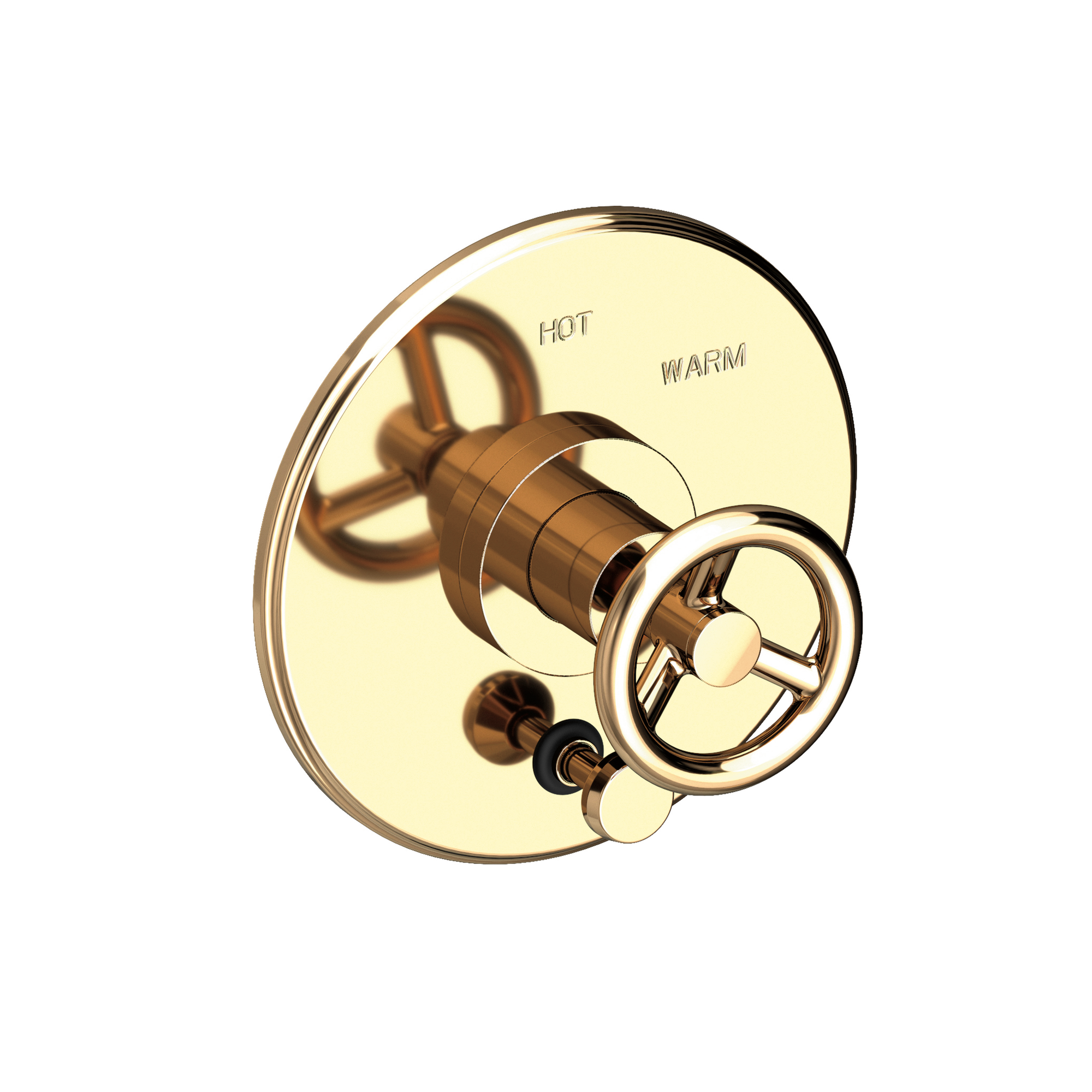 Newport Brass Slater® Balanced Pressure Tub & Shower Diverter Plate with Handle