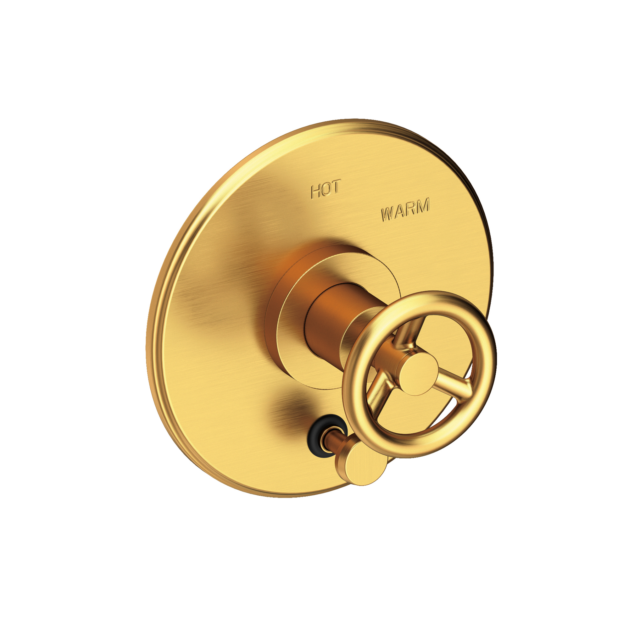 Newport Brass Slater® Balanced Pressure Tub & Shower Diverter Plate with Handle