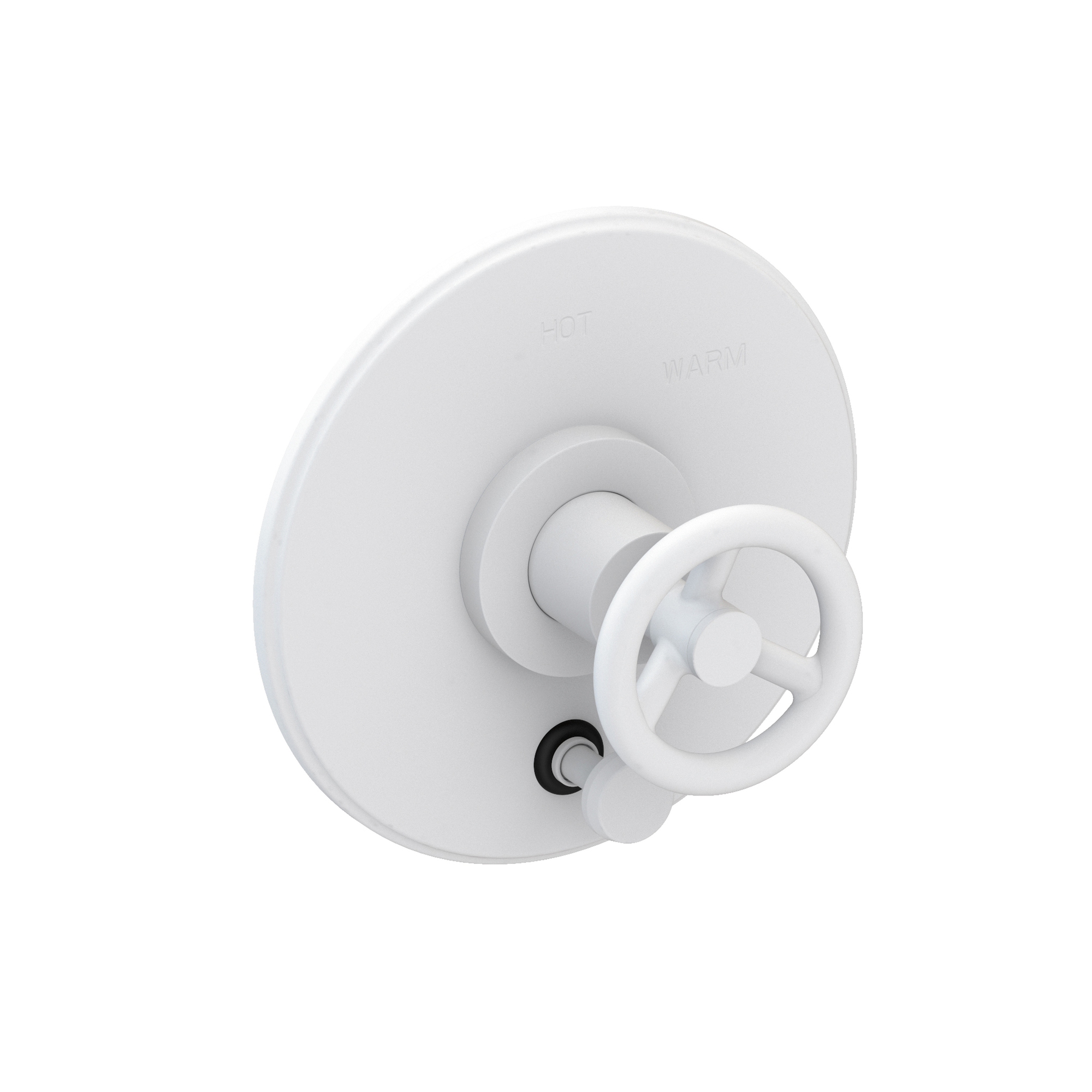 Newport Brass Slater® Balanced Pressure Tub & Shower Diverter Plate with Handle
