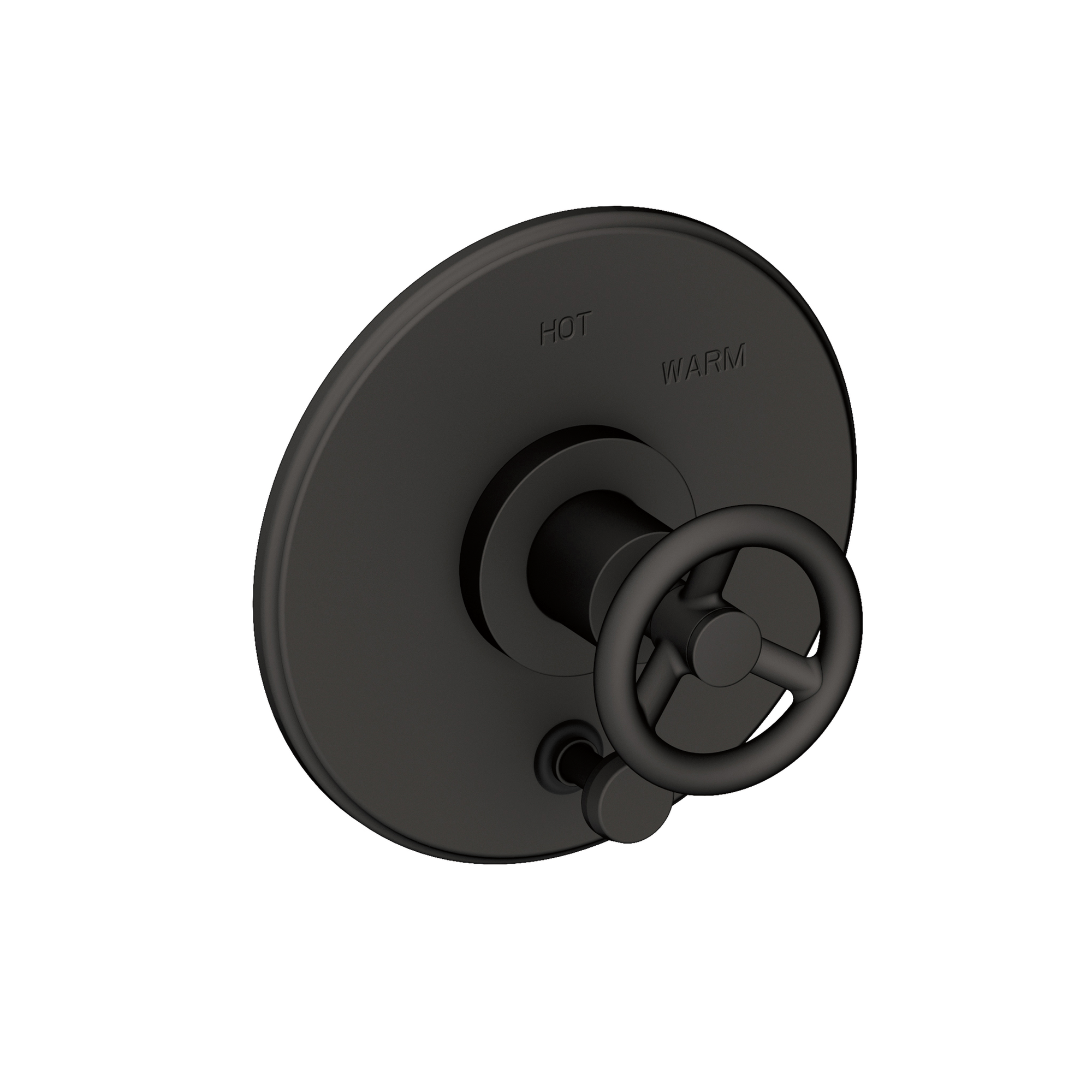 Newport Brass Slater® Balanced Pressure Tub & Shower Diverter Plate with Handle