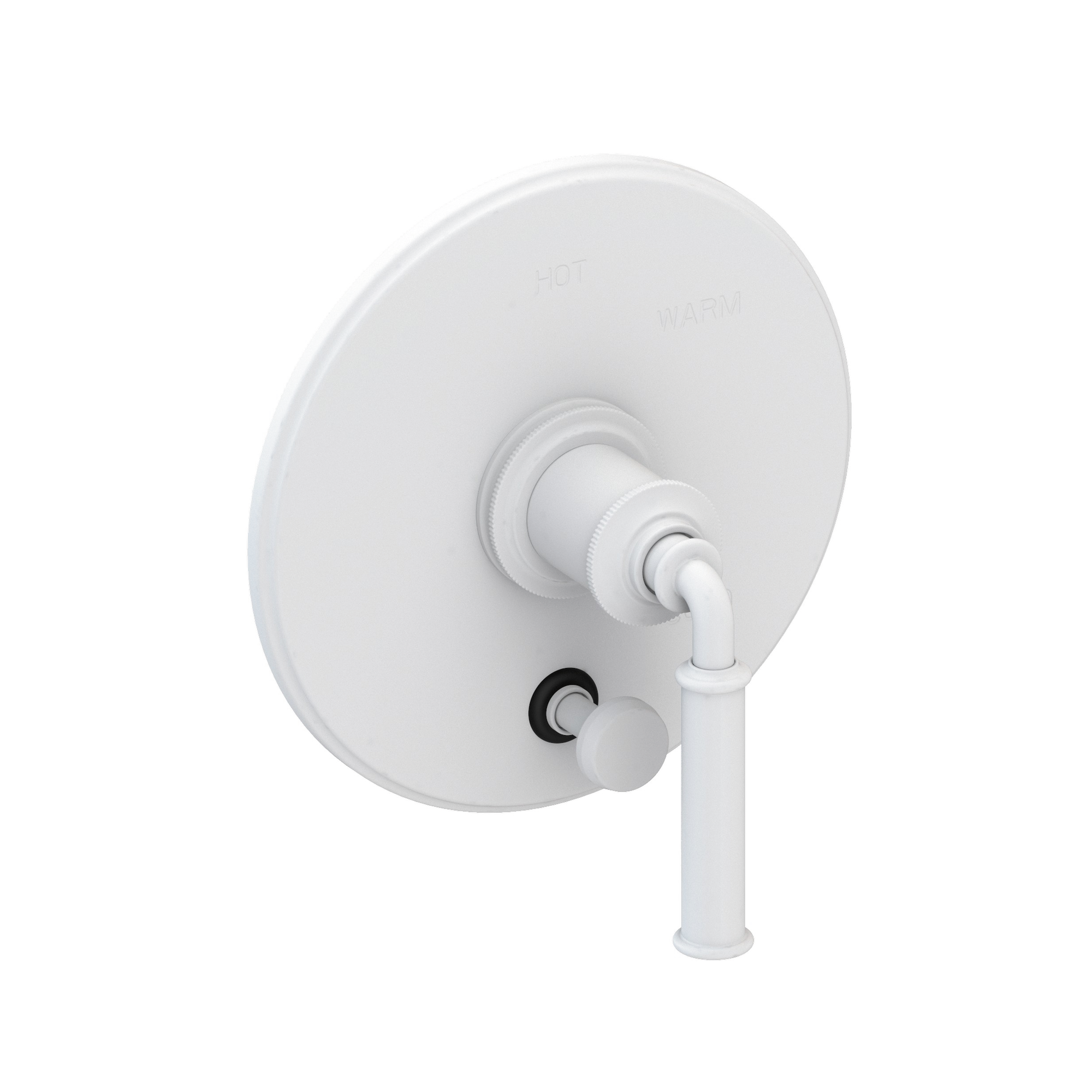 Newport Brass Taft - Kitchen Balanced Pressure Tub & Shower Diverter Plate with Handle