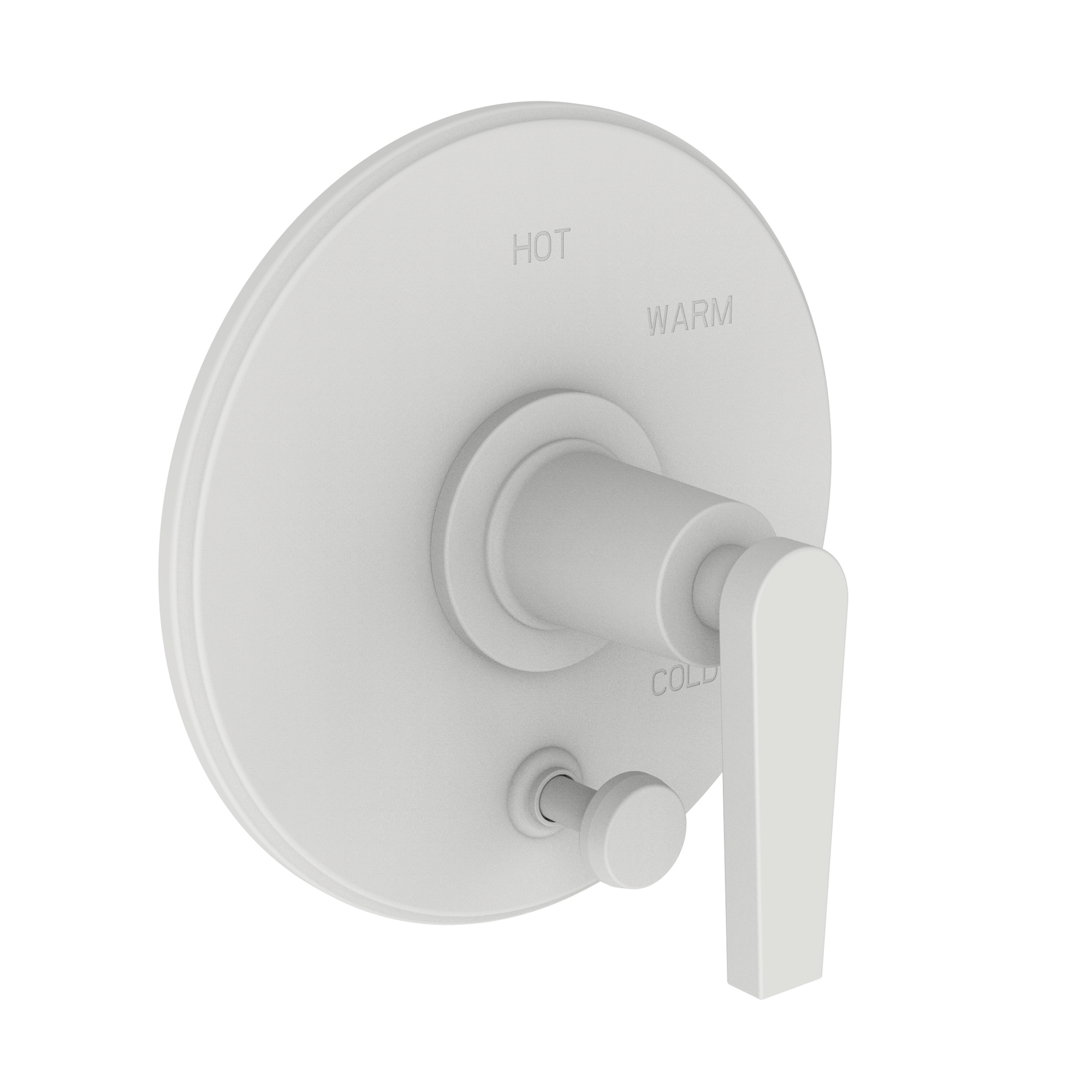 Newport Brass Dorrance® Balanced Pressure Tub & Shower Diverter Plate with Handle