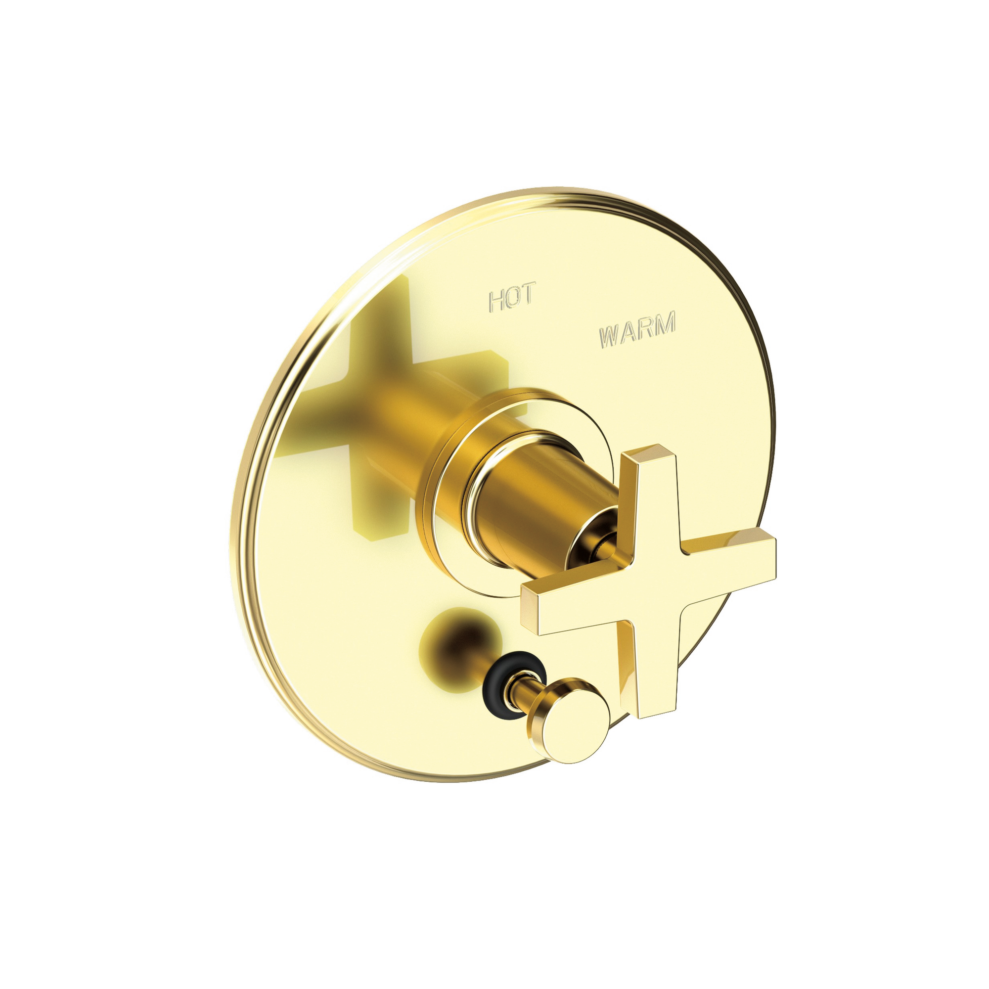 Newport Brass Dorrance® Balanced Pressure Tub & Shower Diverter Plate with Handle