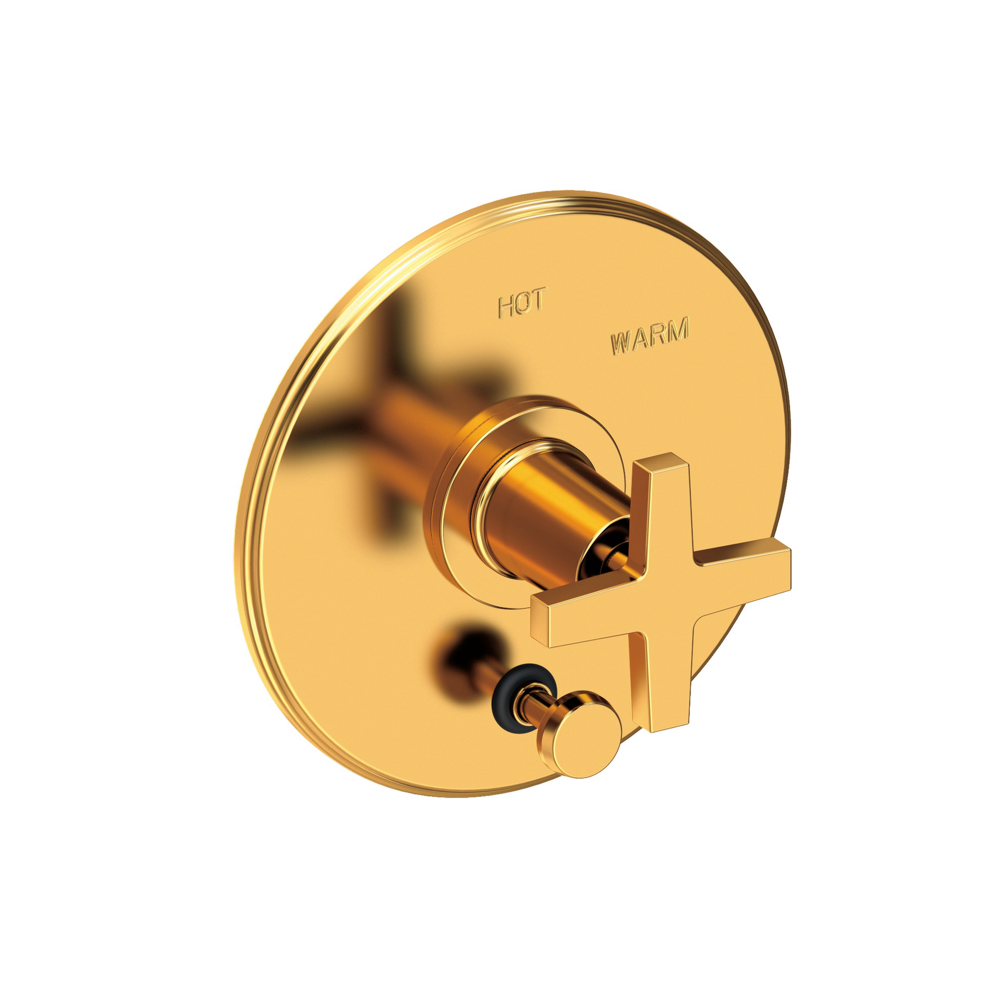Newport Brass Dorrance® Balanced Pressure Tub & Shower Diverter Plate with Handle