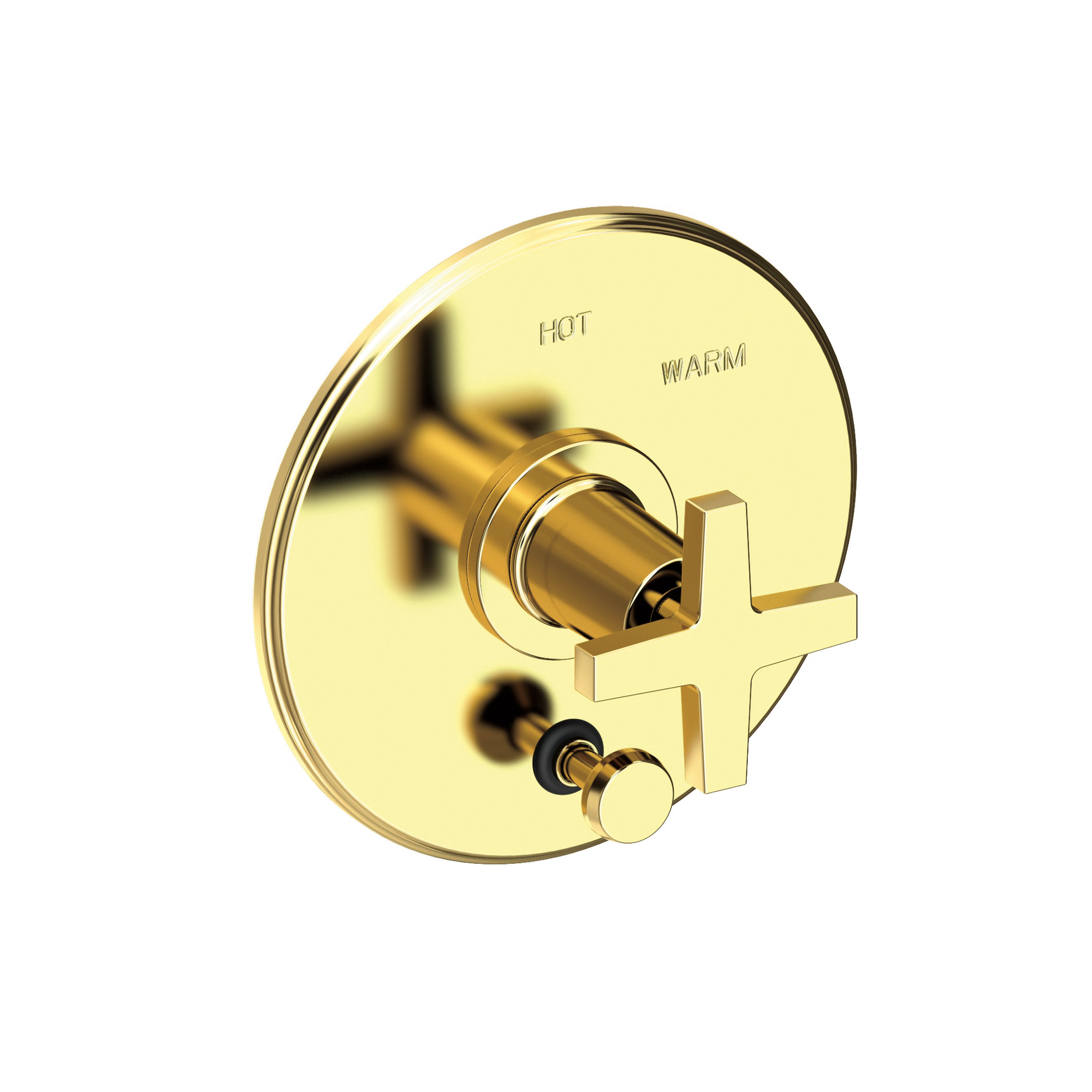Newport Brass Dorrance® Balanced Pressure Tub & Shower Diverter Plate with Handle