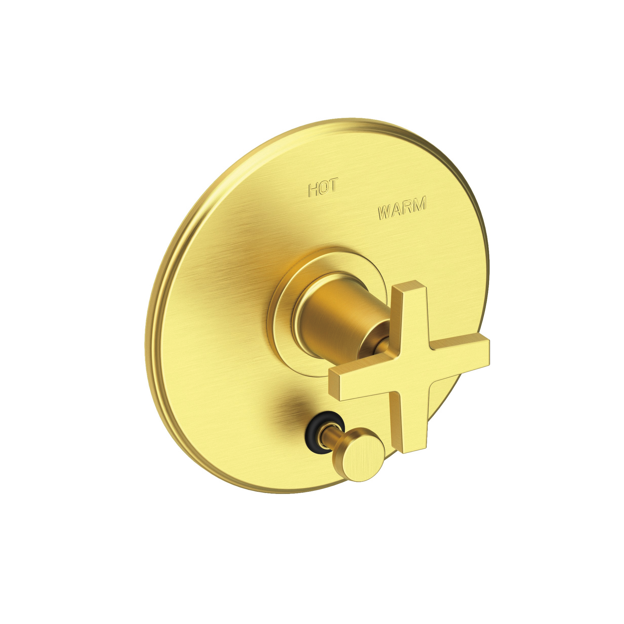 Newport Brass Dorrance® Balanced Pressure Tub & Shower Diverter Plate with Handle