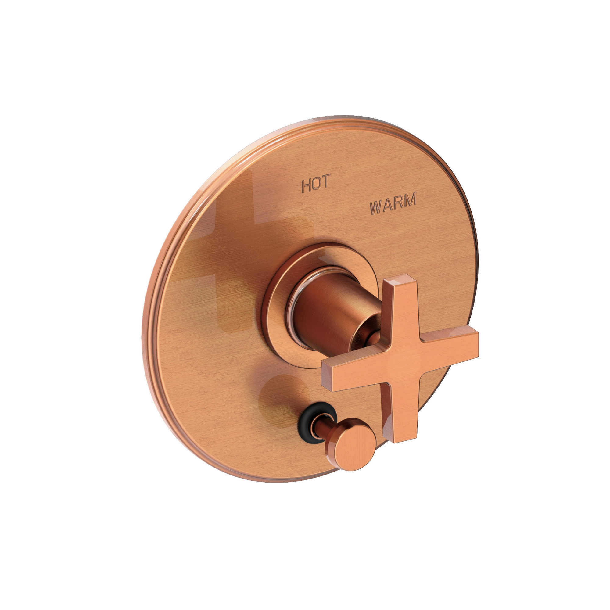 Newport Brass Dorrance® Balanced Pressure Tub & Shower Diverter Plate with Handle