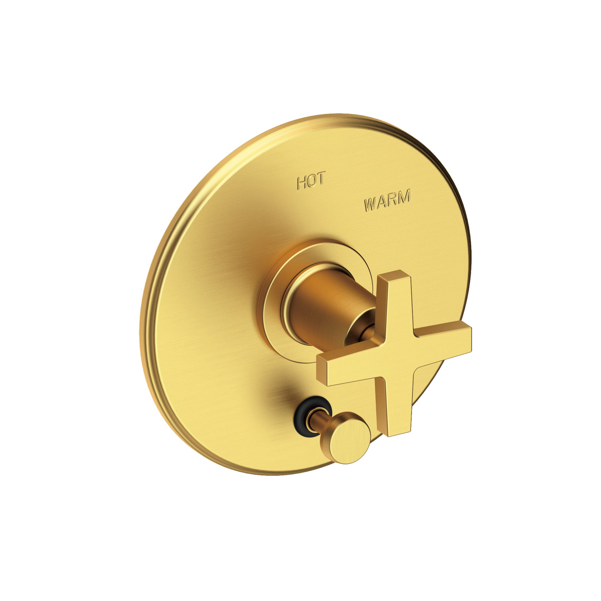 Newport Brass Dorrance® Balanced Pressure Tub & Shower Diverter Plate with Handle