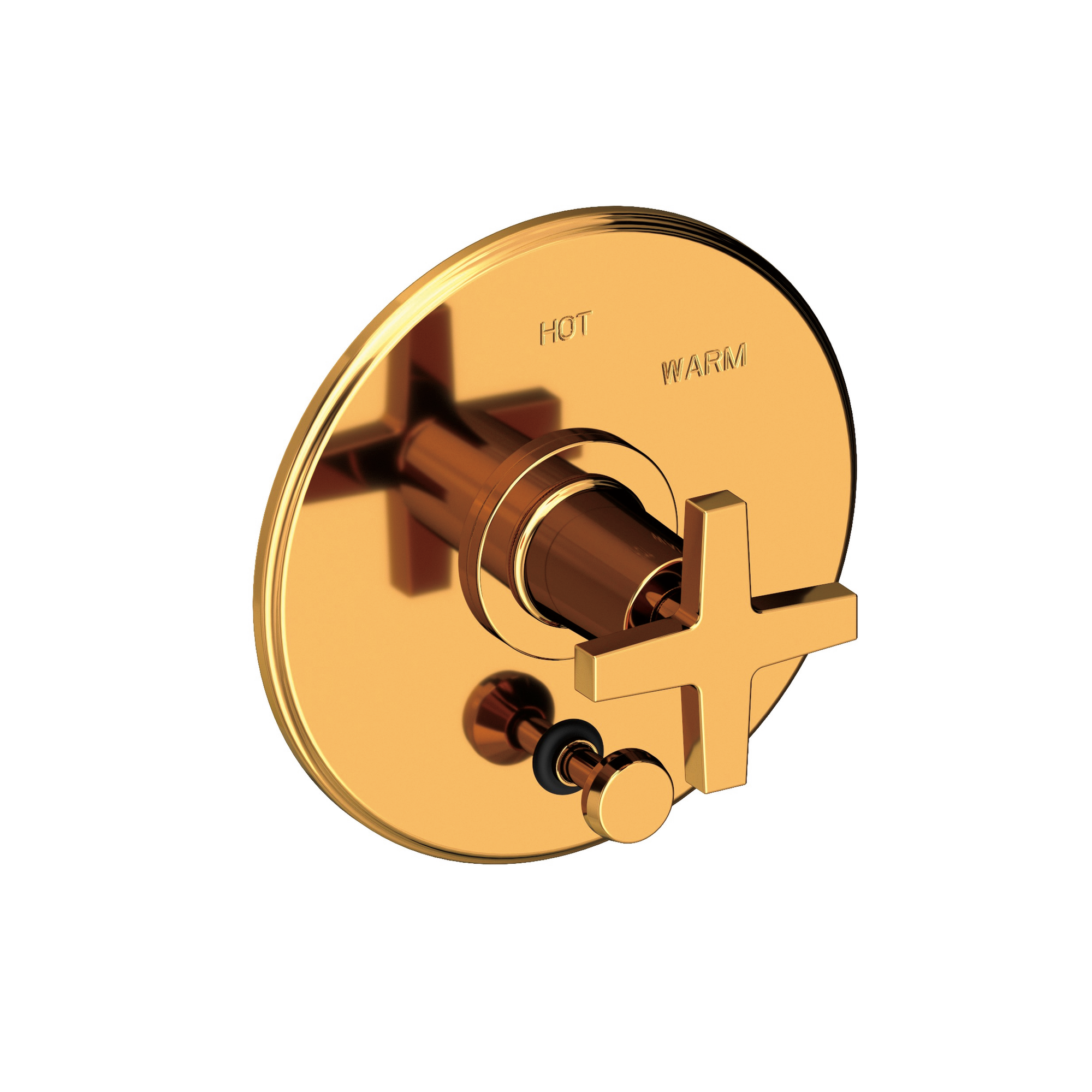 Newport Brass Dorrance® Balanced Pressure Tub & Shower Diverter Plate with Handle