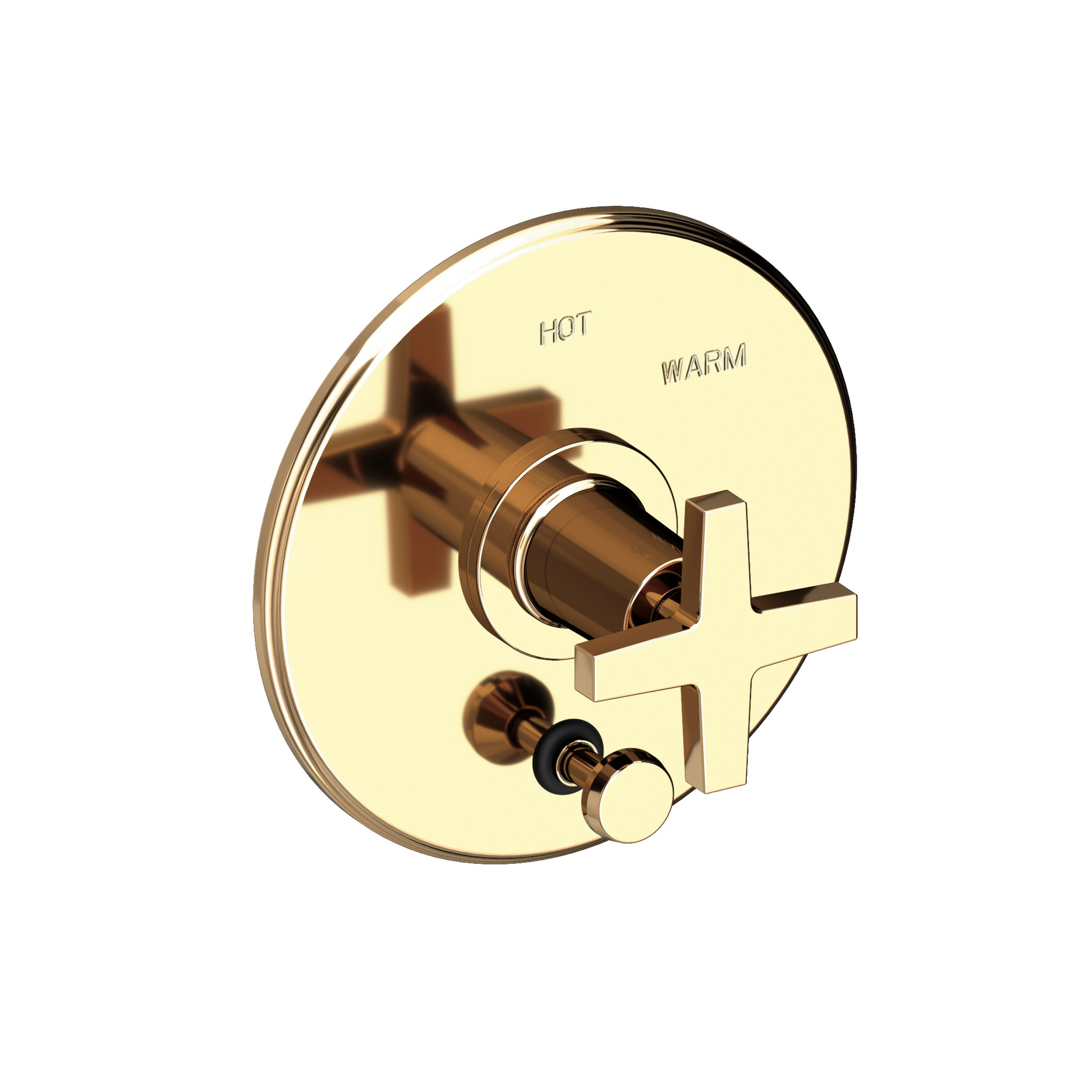 Newport Brass Dorrance® Balanced Pressure Tub & Shower Diverter Plate with Handle