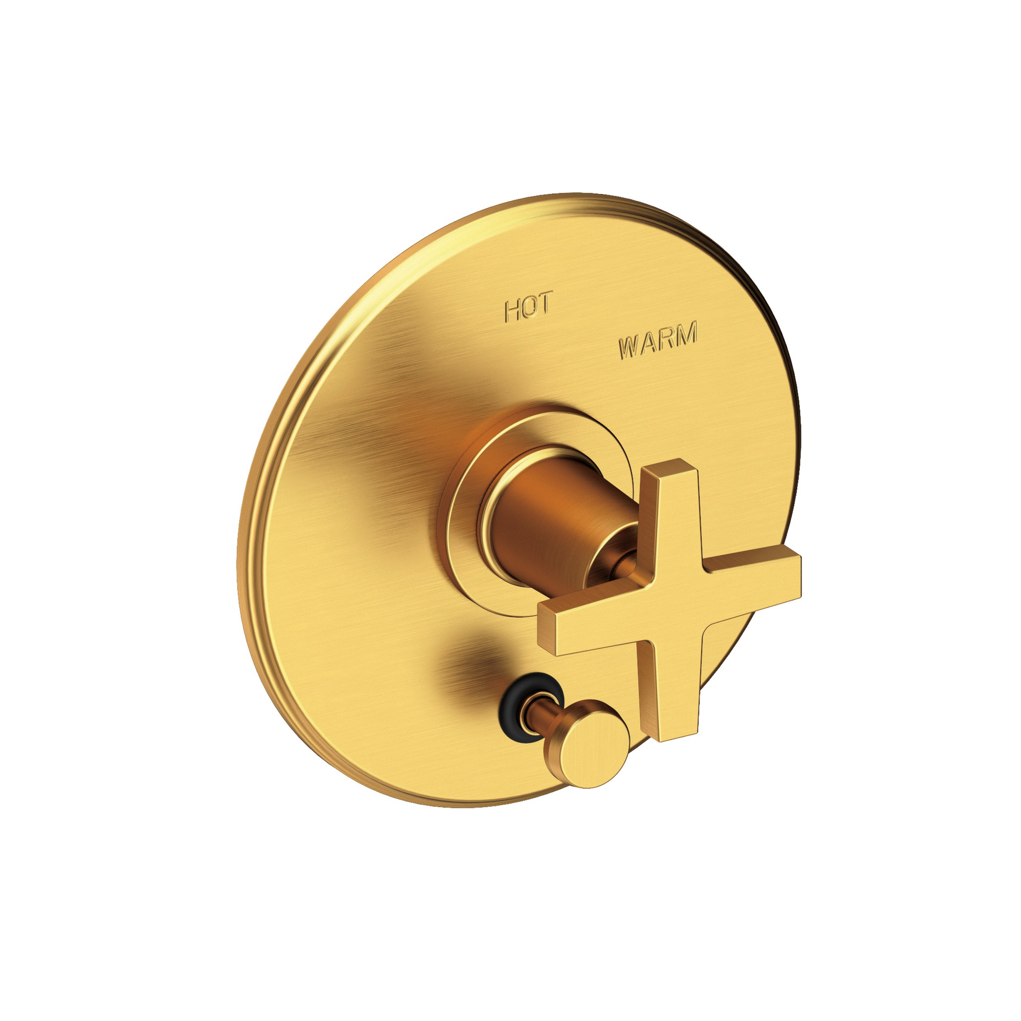 Newport Brass Dorrance® Balanced Pressure Tub & Shower Diverter Plate with Handle