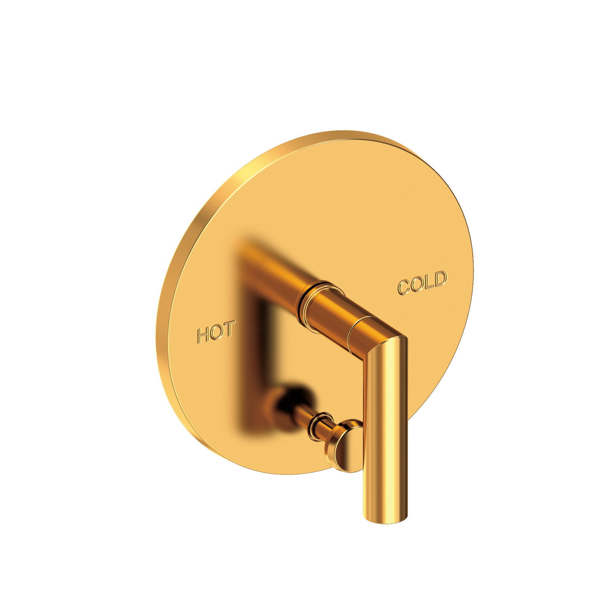 Newport Brass Pavani Balanced Pressure Tub & Shower Diverter Plate with Handle