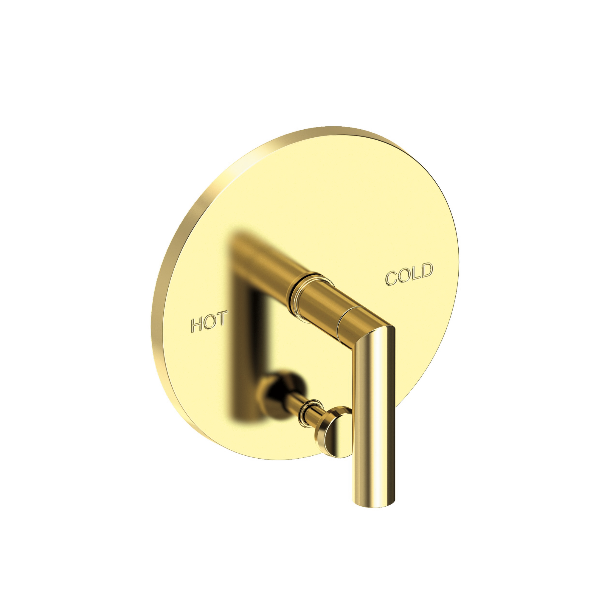 Newport Brass Pavani Balanced Pressure Tub & Shower Diverter Plate with Handle