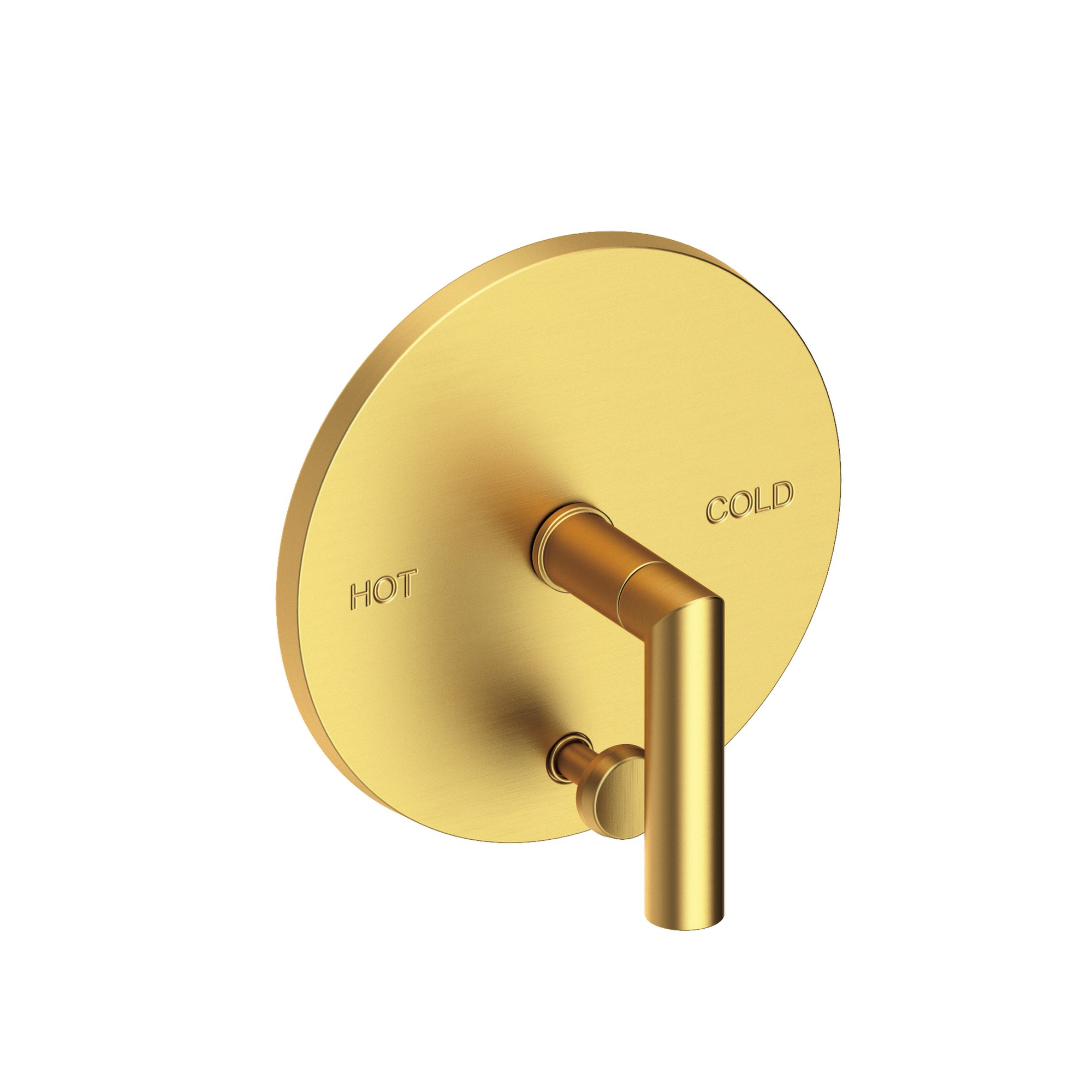 Newport Brass Pavani Balanced Pressure Tub & Shower Diverter Plate with Handle