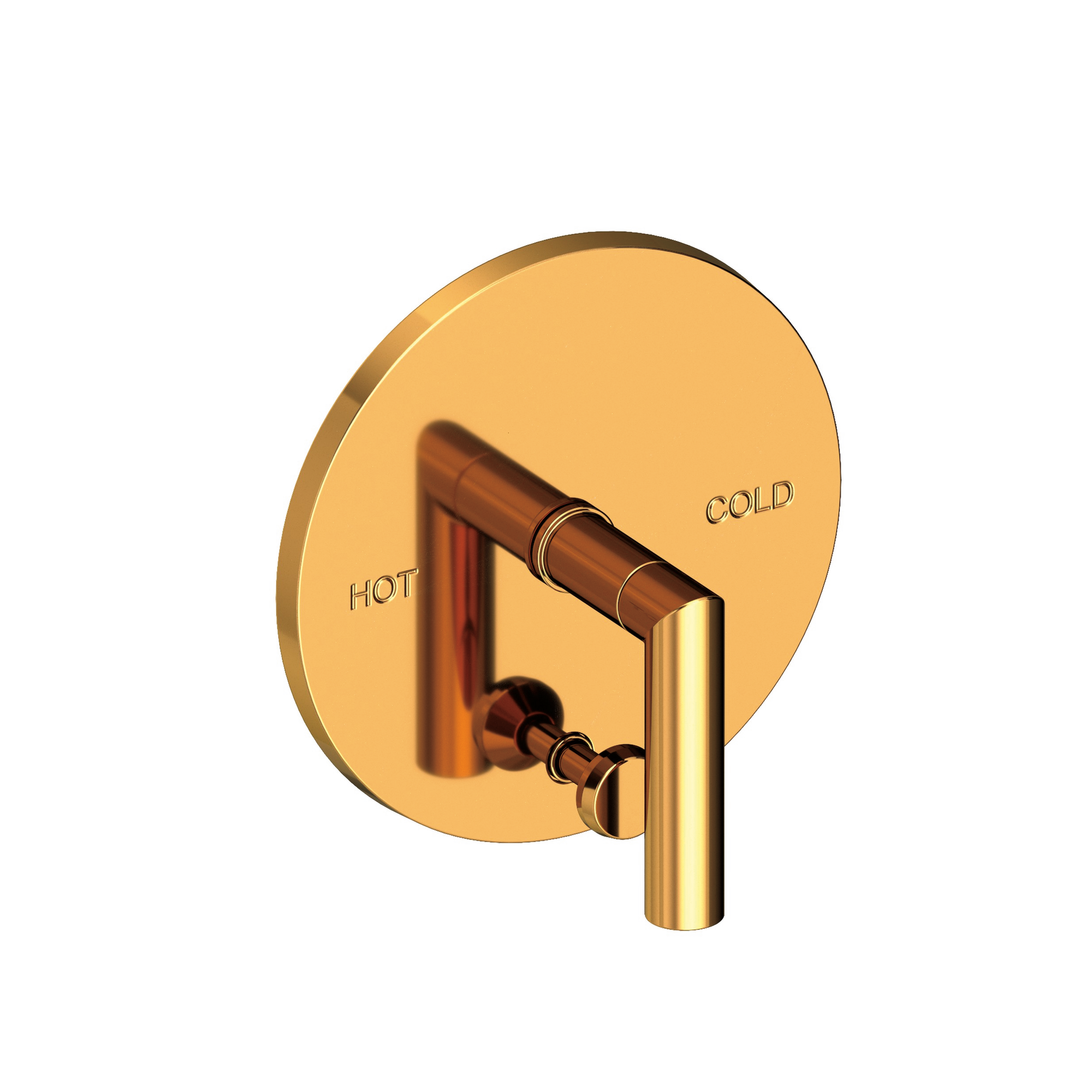 Newport Brass Pavani Balanced Pressure Tub & Shower Diverter Plate with Handle