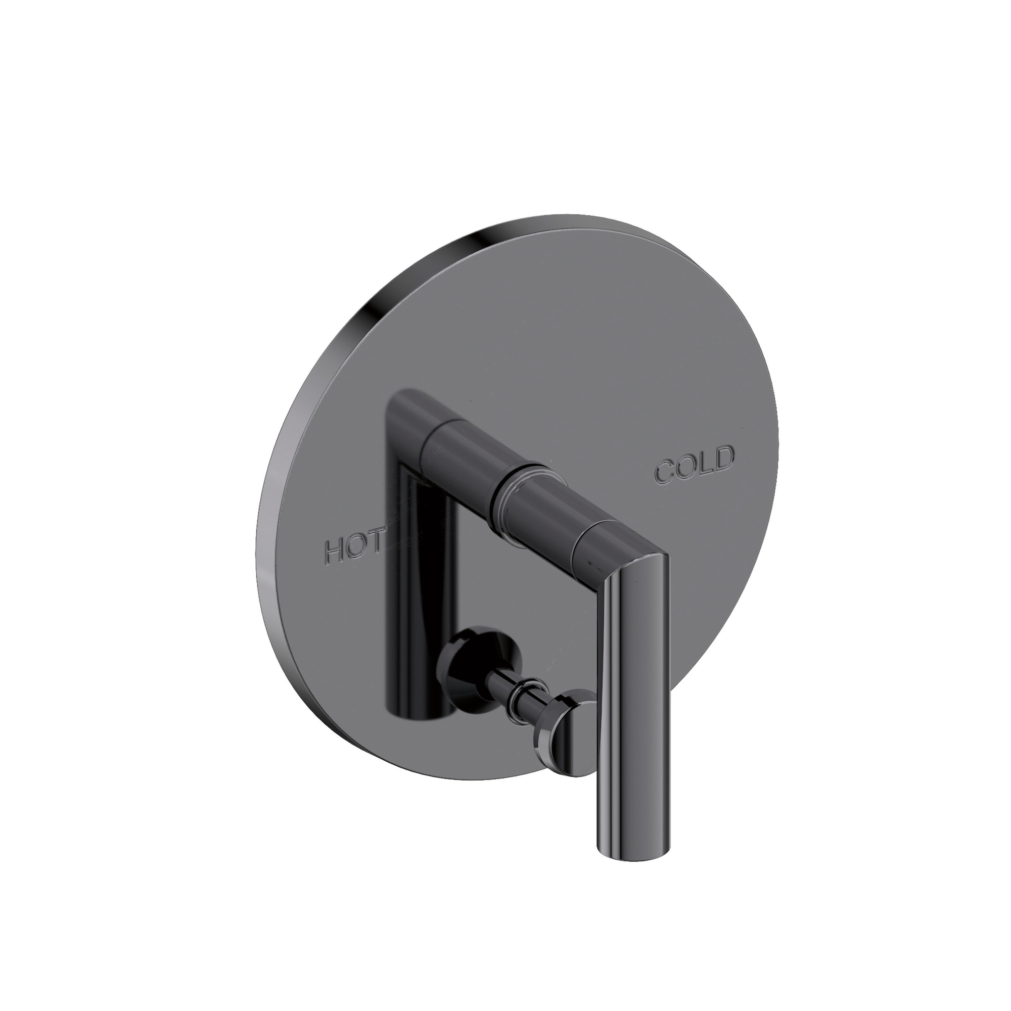 Newport Brass Pavani Balanced Pressure Tub & Shower Diverter Plate with Handle