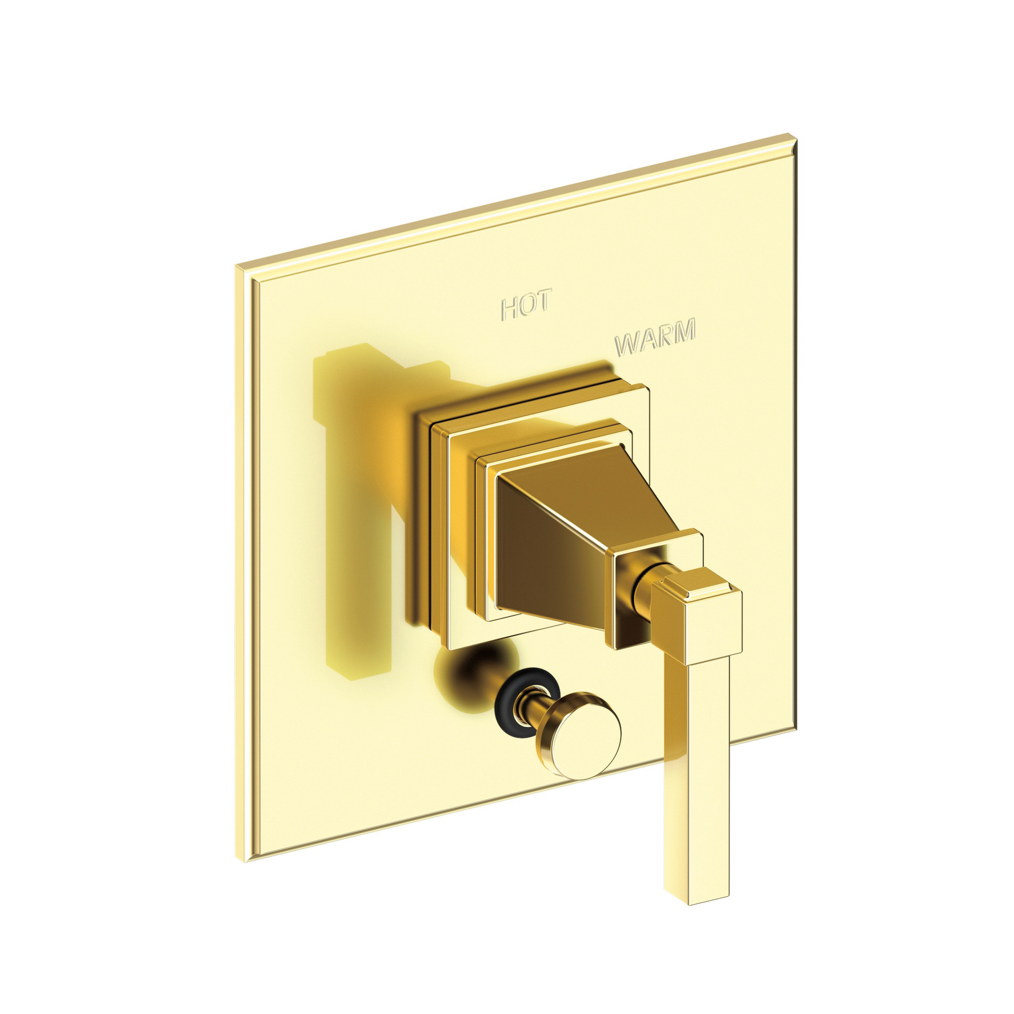Newport Brass Malvina® Balanced Pressure Tub & Shower Diverter Plate with Handle