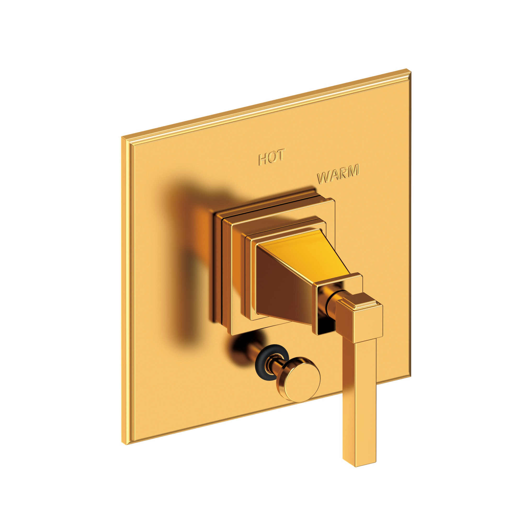 Newport Brass Malvina® Balanced Pressure Tub & Shower Diverter Plate with Handle
