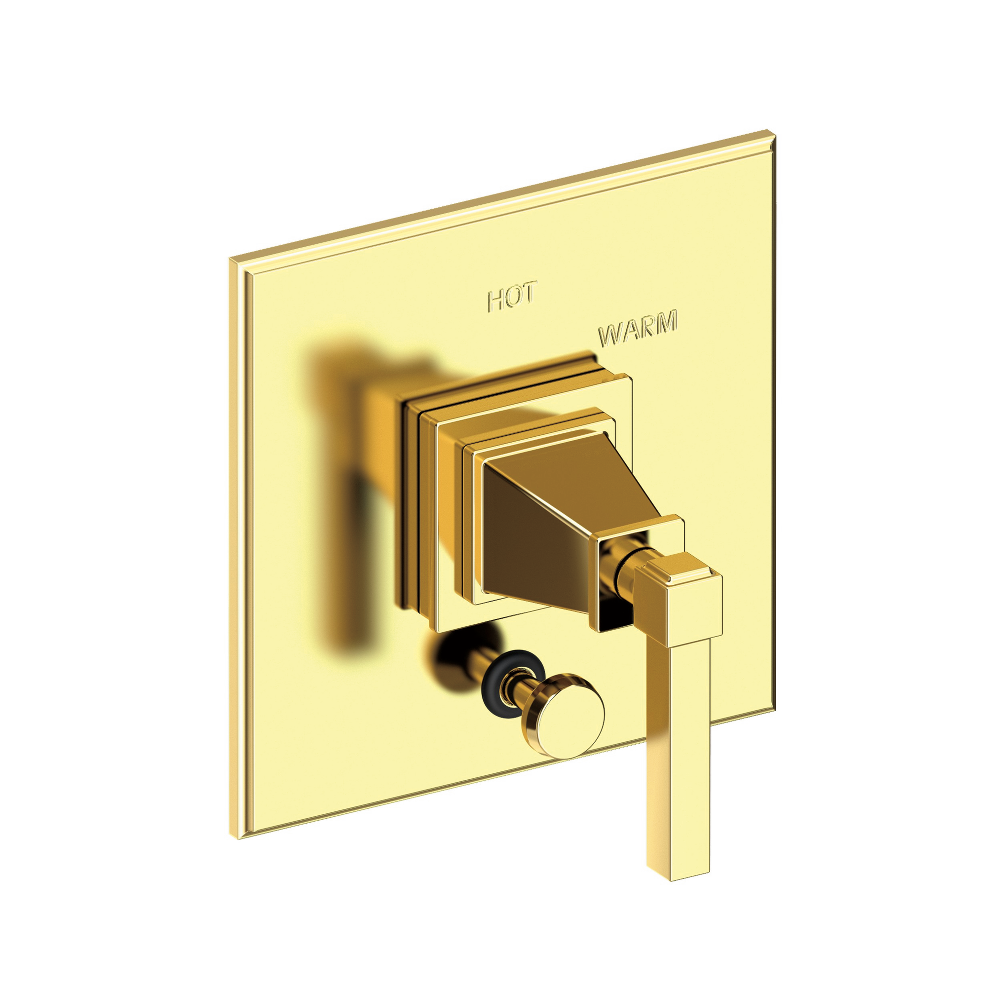 Newport Brass Malvina® Balanced Pressure Tub & Shower Diverter Plate with Handle