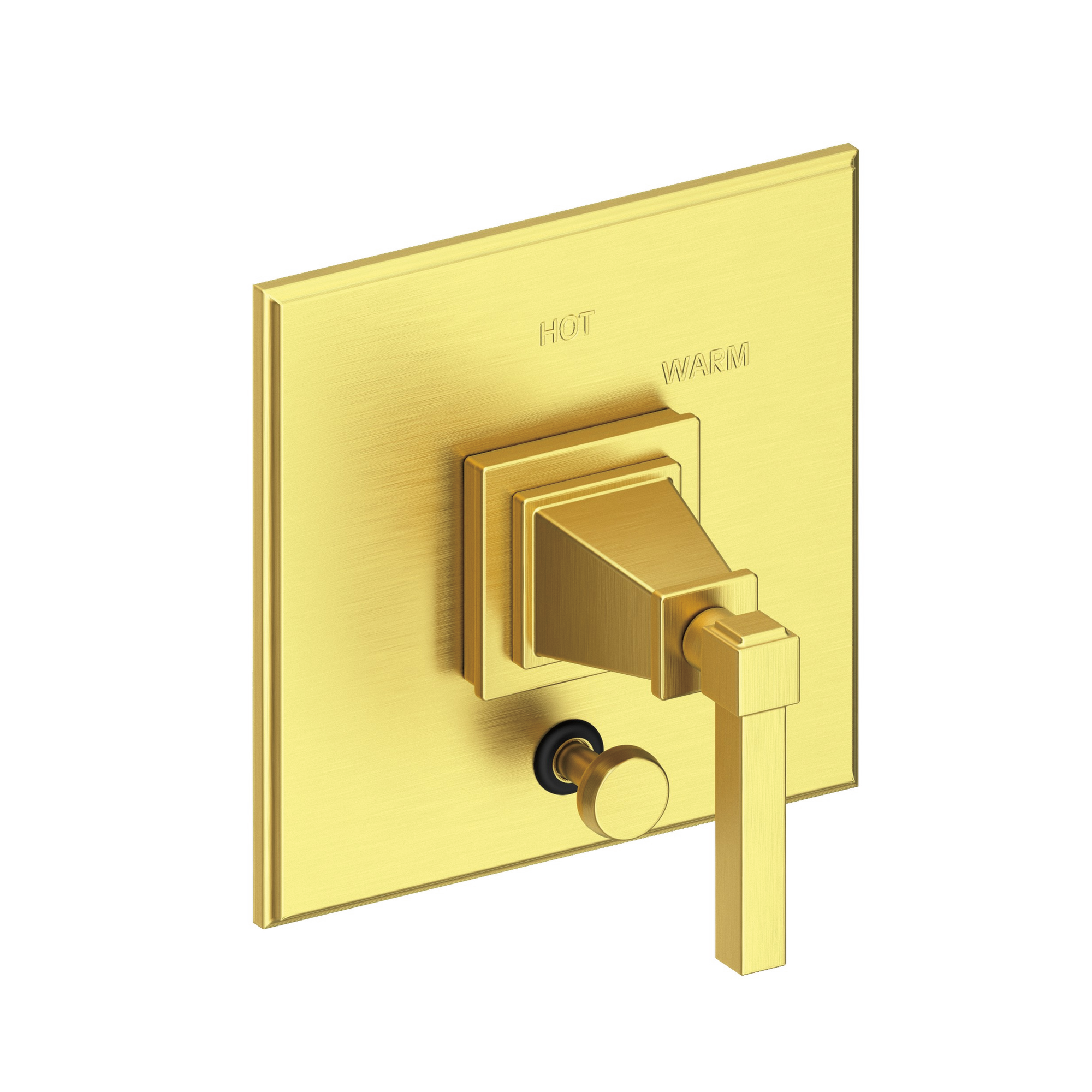 Newport Brass Malvina® Balanced Pressure Tub & Shower Diverter Plate with Handle