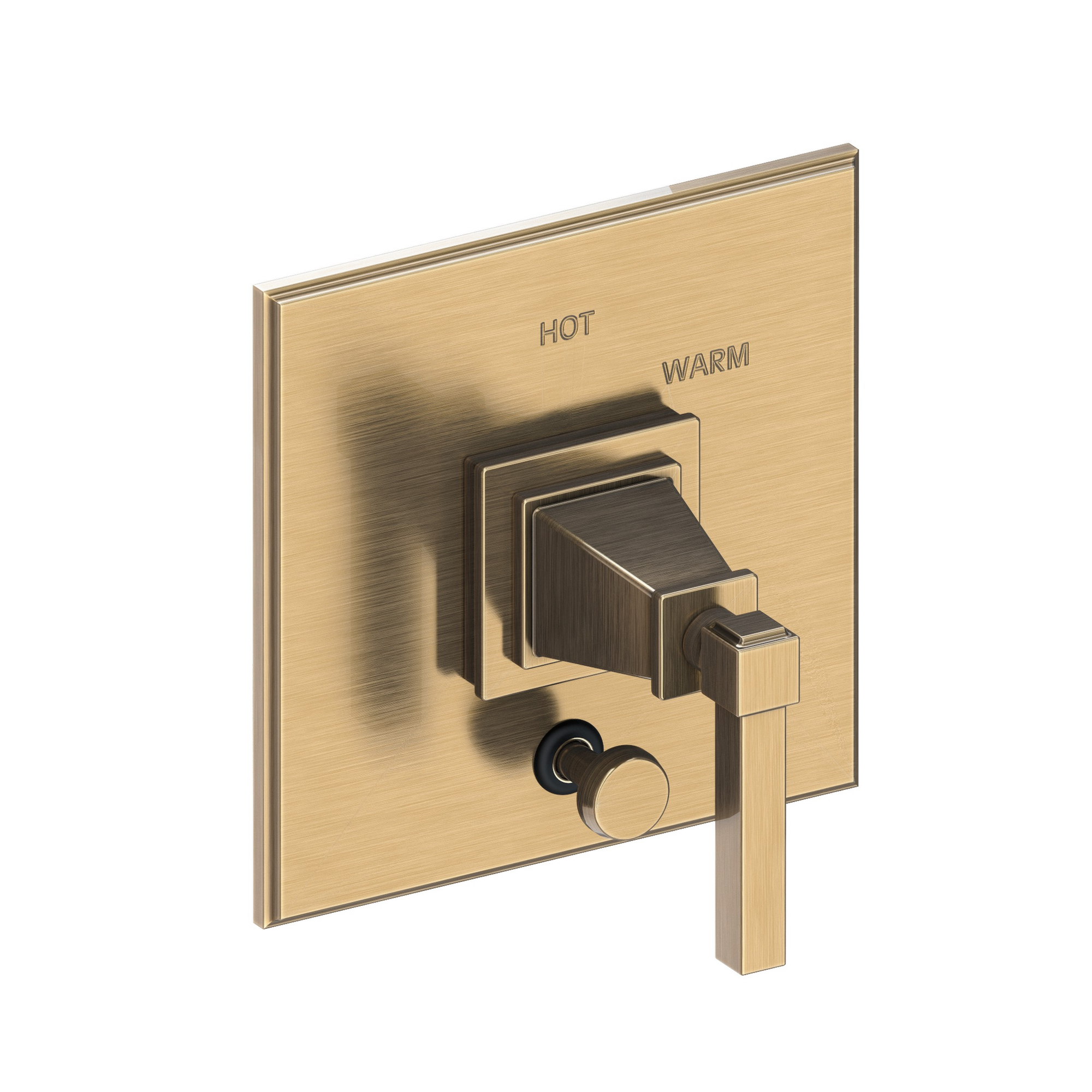 Newport Brass Malvina® Balanced Pressure Tub & Shower Diverter Plate with Handle