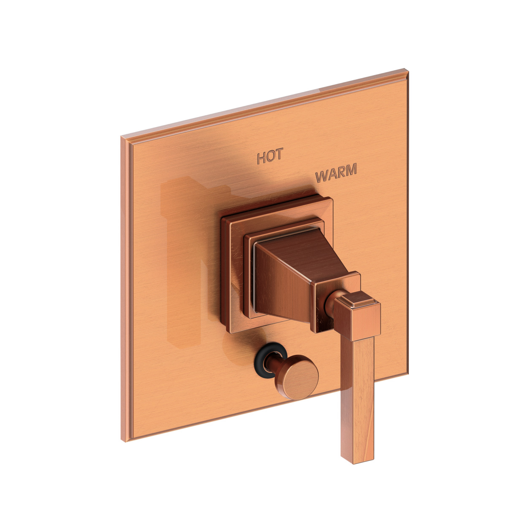 Newport Brass Malvina® Balanced Pressure Tub & Shower Diverter Plate with Handle