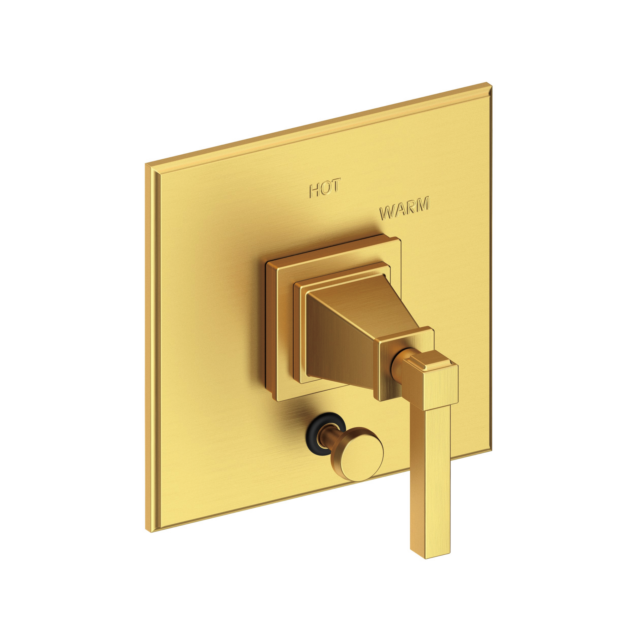 Newport Brass Malvina® Balanced Pressure Tub & Shower Diverter Plate with Handle