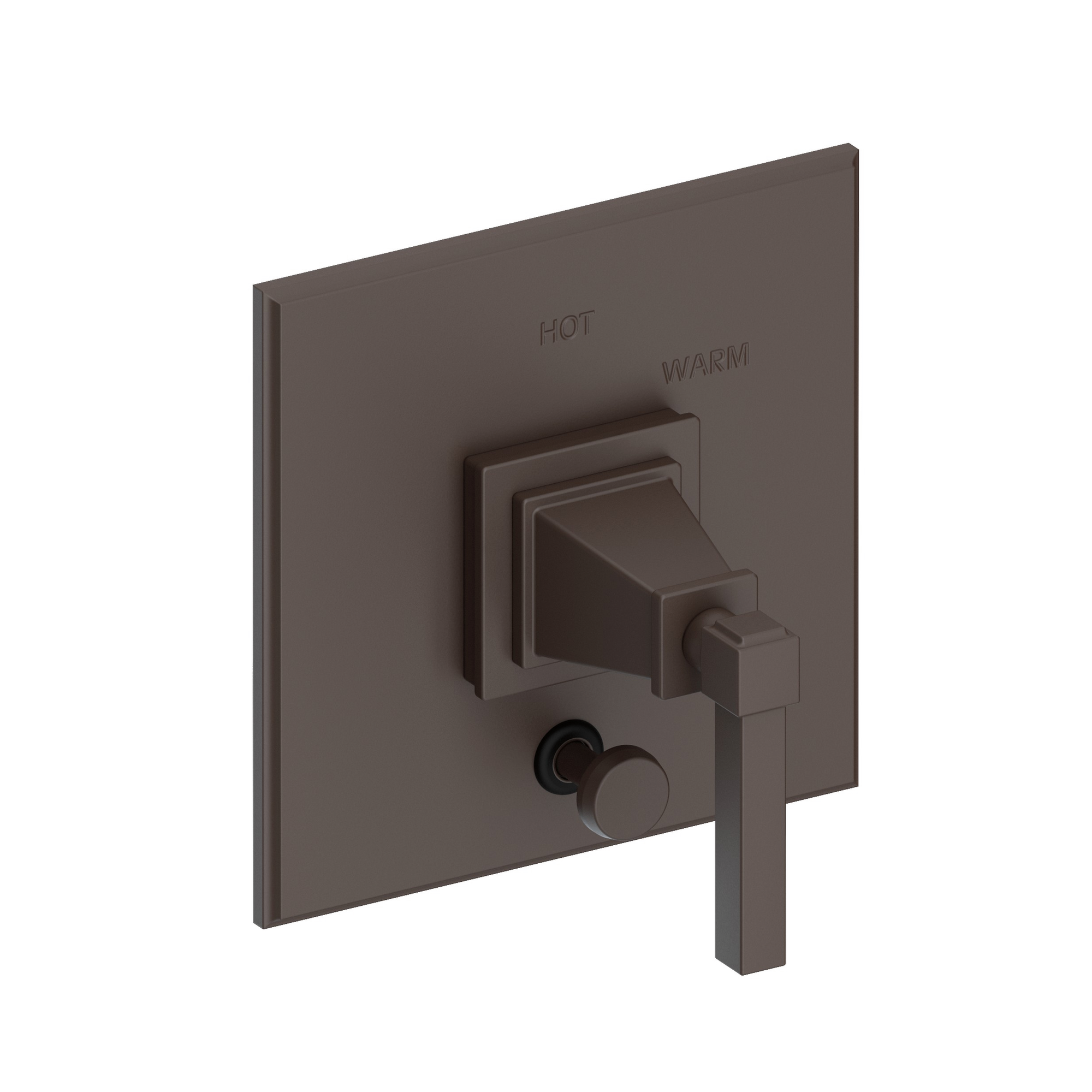 Newport Brass Malvina® Balanced Pressure Tub & Shower Diverter Plate with Handle