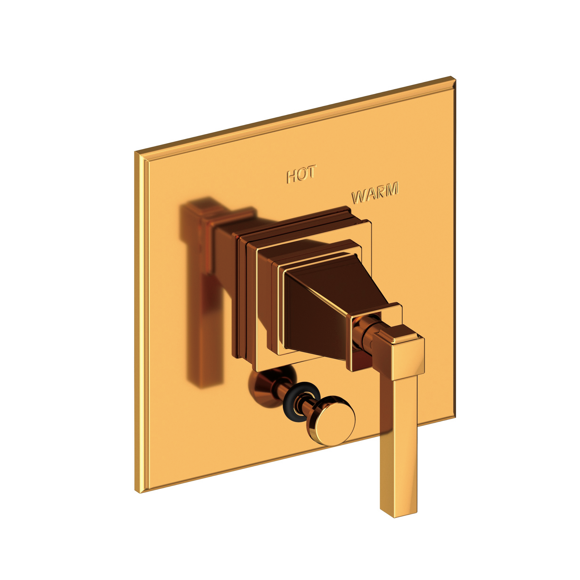 Newport Brass Malvina® Balanced Pressure Tub & Shower Diverter Plate with Handle
