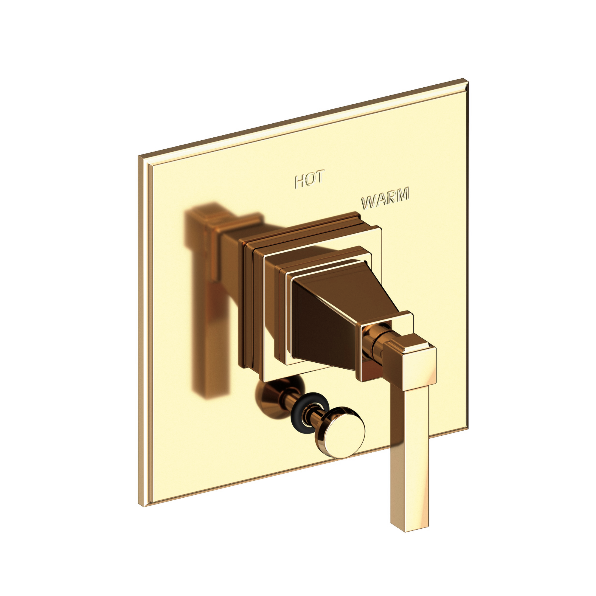 Newport Brass Malvina® Balanced Pressure Tub & Shower Diverter Plate with Handle