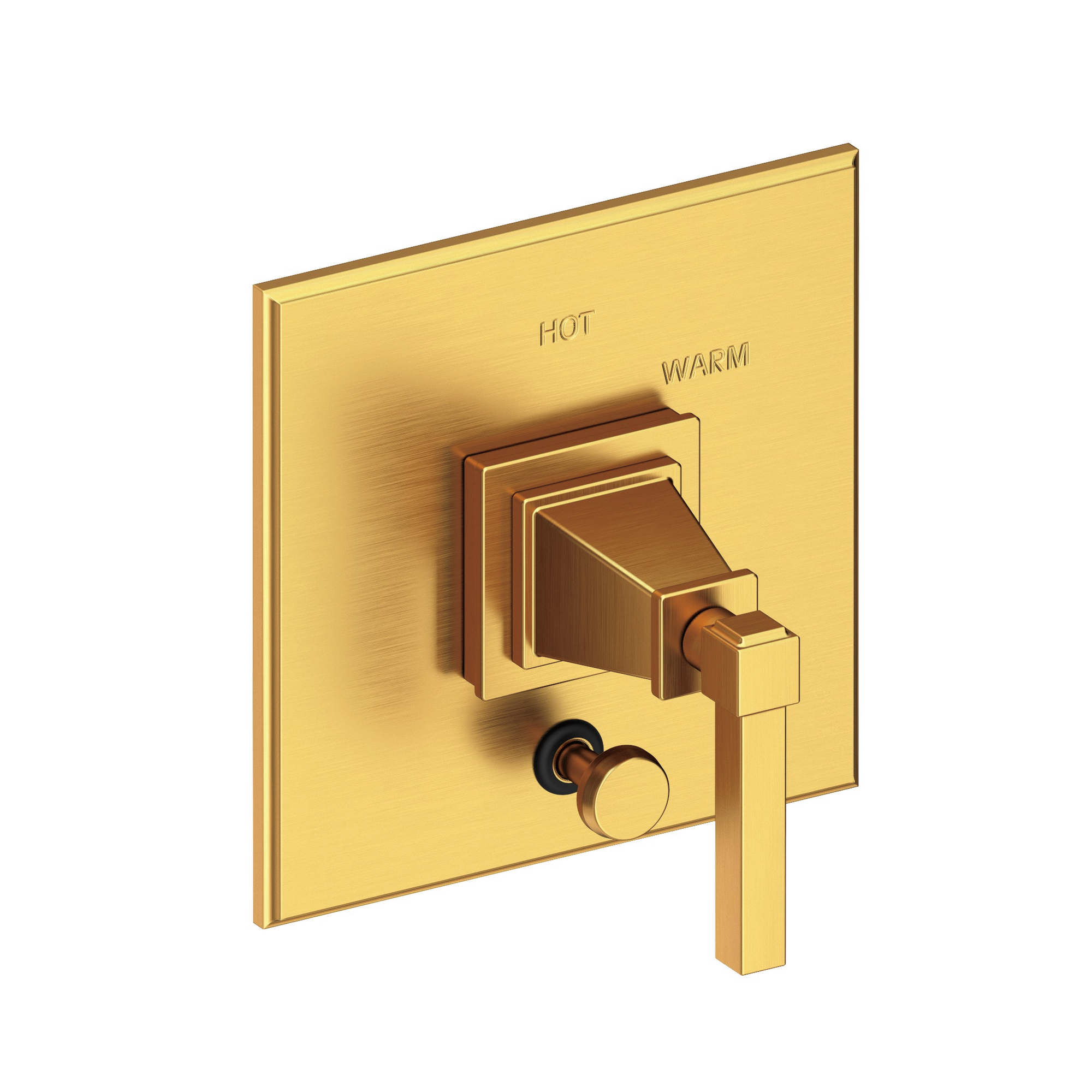 Newport Brass Malvina® Balanced Pressure Tub & Shower Diverter Plate with Handle