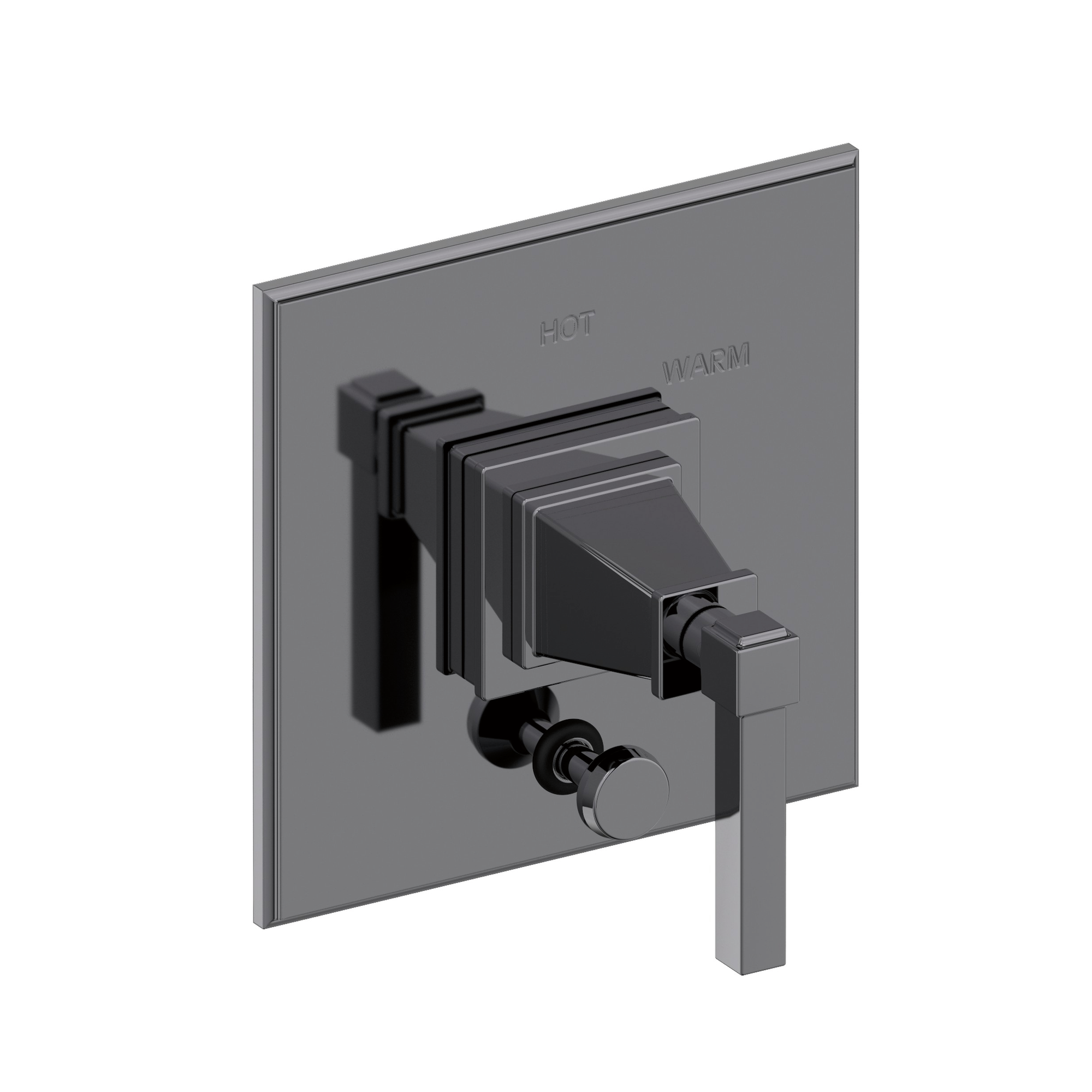 Newport Brass Malvina® Balanced Pressure Tub & Shower Diverter Plate with Handle
