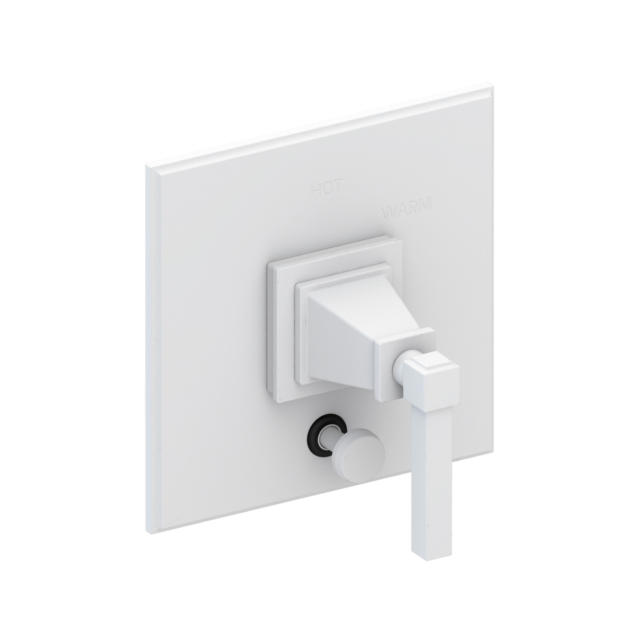 Newport Brass Malvina® Balanced Pressure Tub & Shower Diverter Plate with Handle