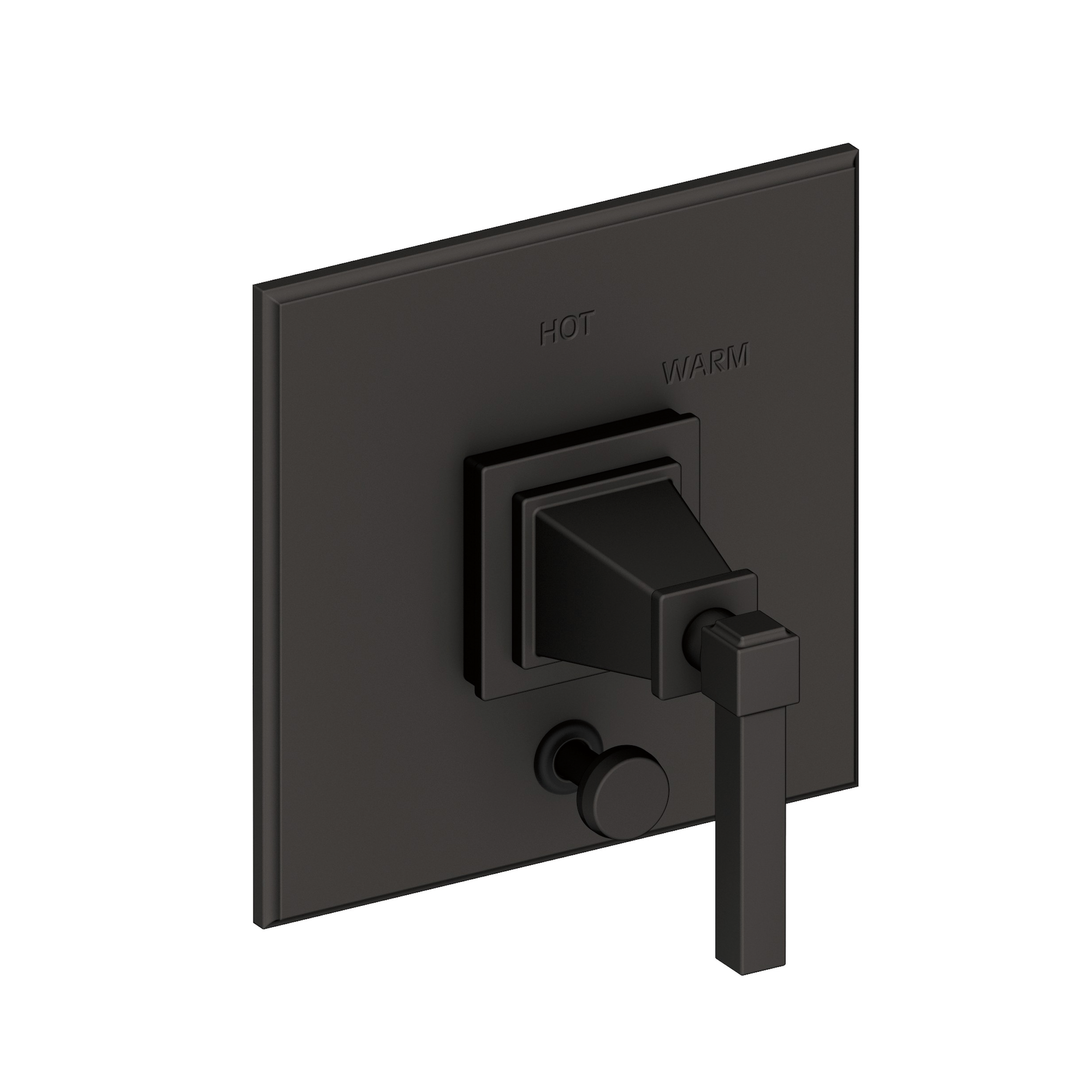 Newport Brass Malvina® Balanced Pressure Tub & Shower Diverter Plate with Handle