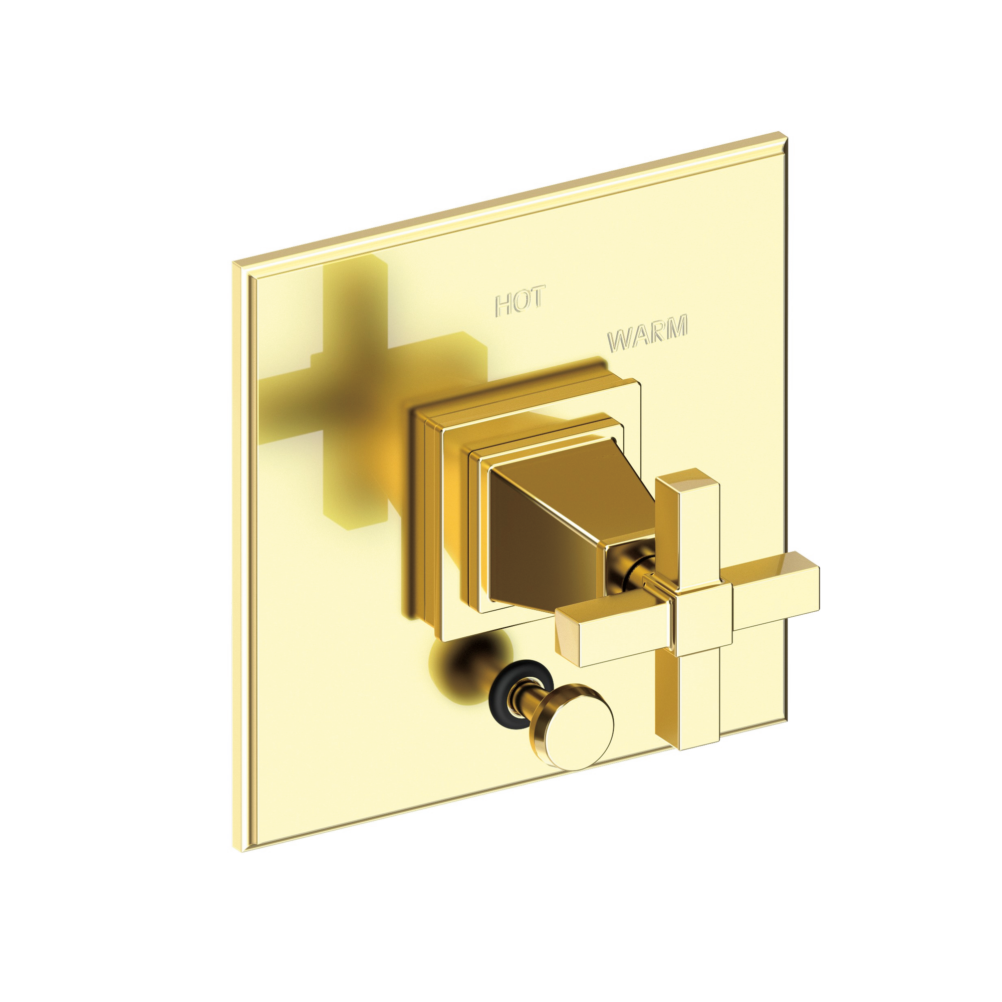 Newport Brass Malvina® Balanced Pressure Tub & Shower Diverter Plate with Handle