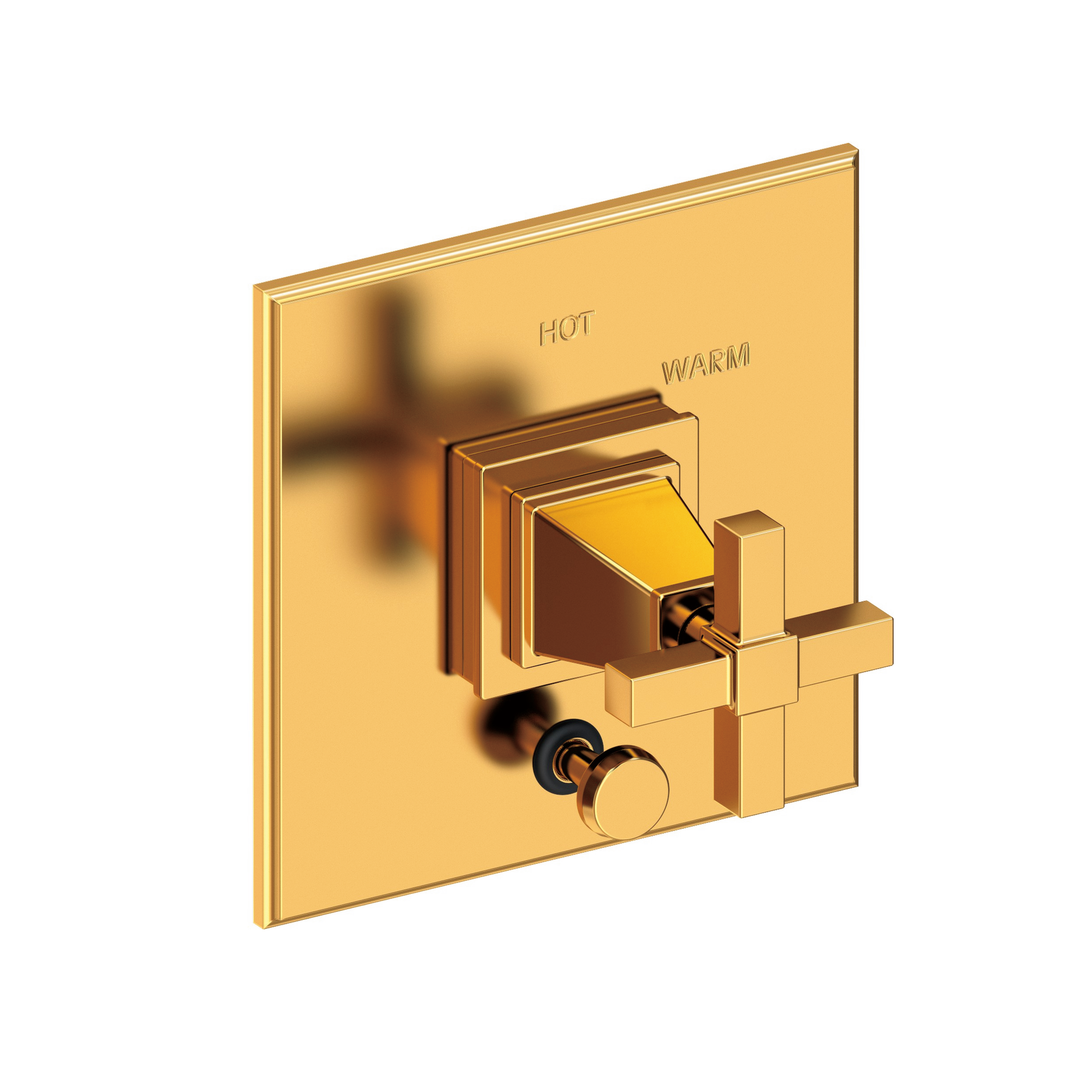 Newport Brass Malvina® Balanced Pressure Tub & Shower Diverter Plate with Handle